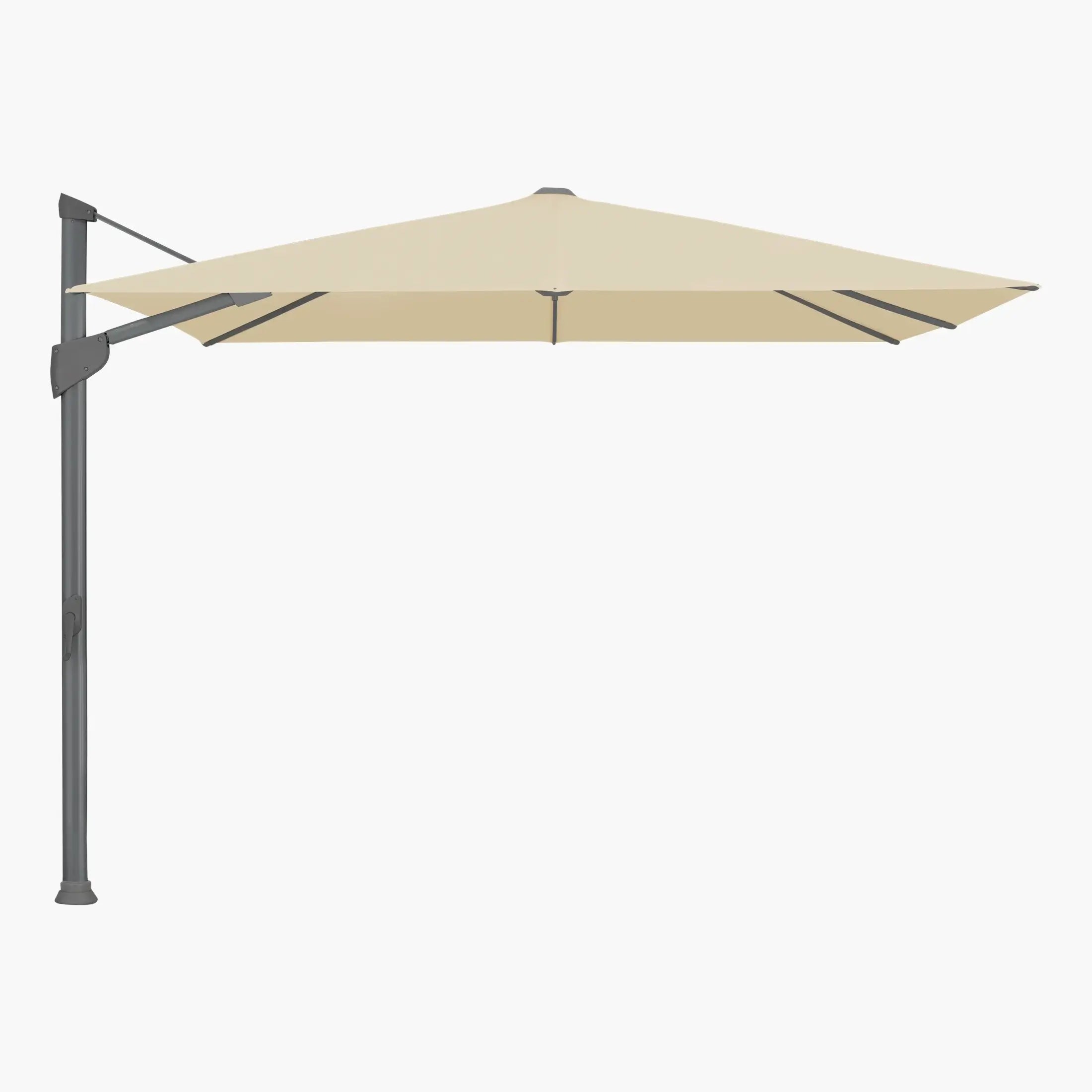 Bamboo 526. - Glatz