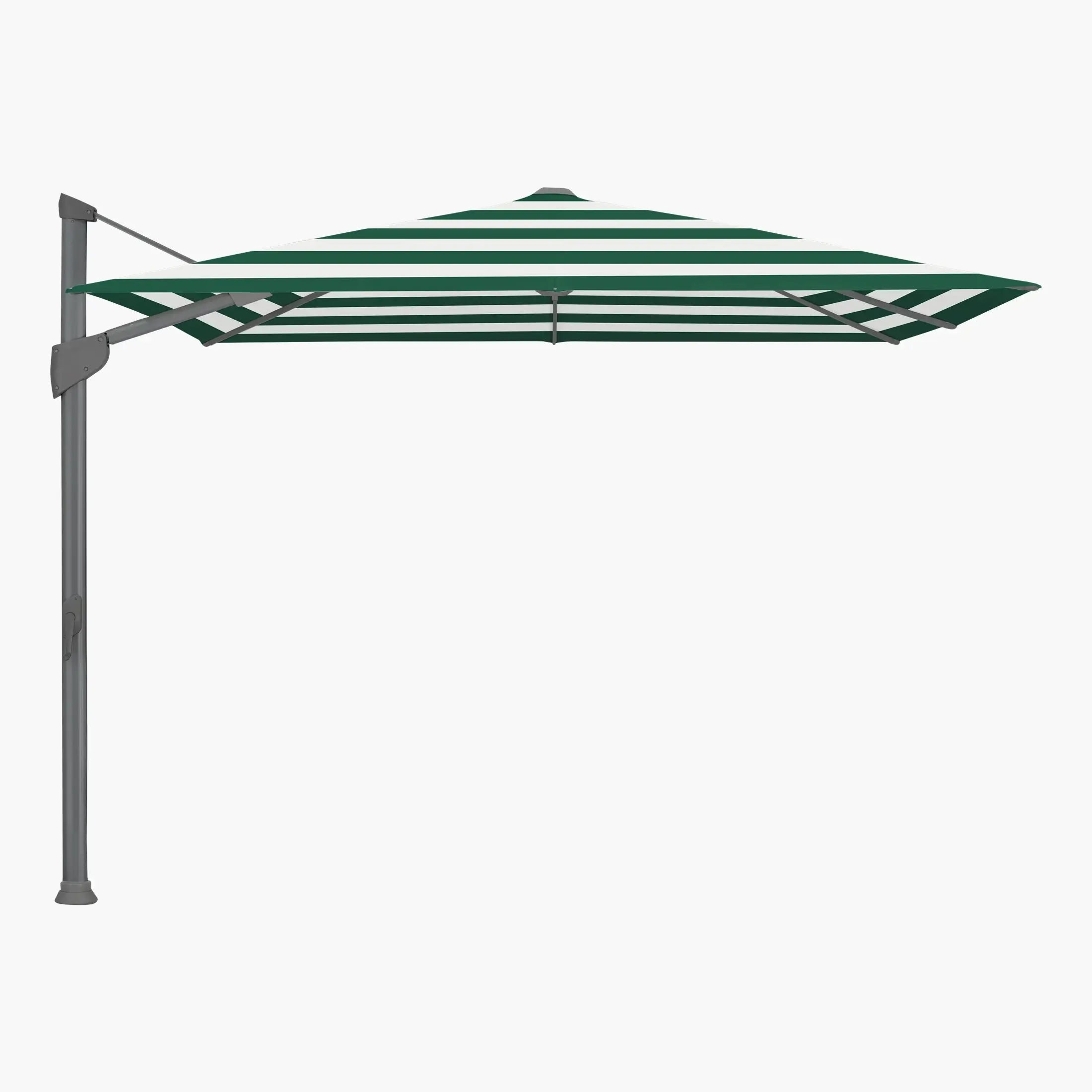 Green Stripe 589. - Glatz