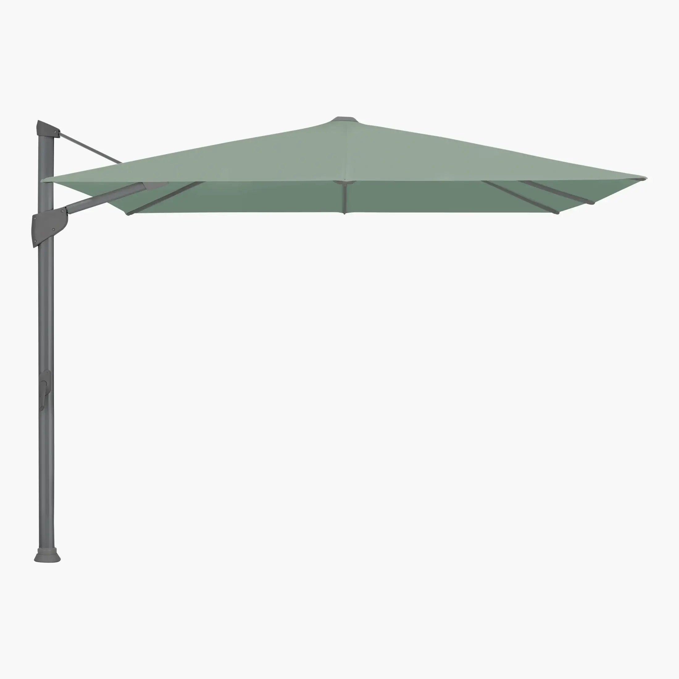 Olive 588. - Glatz
