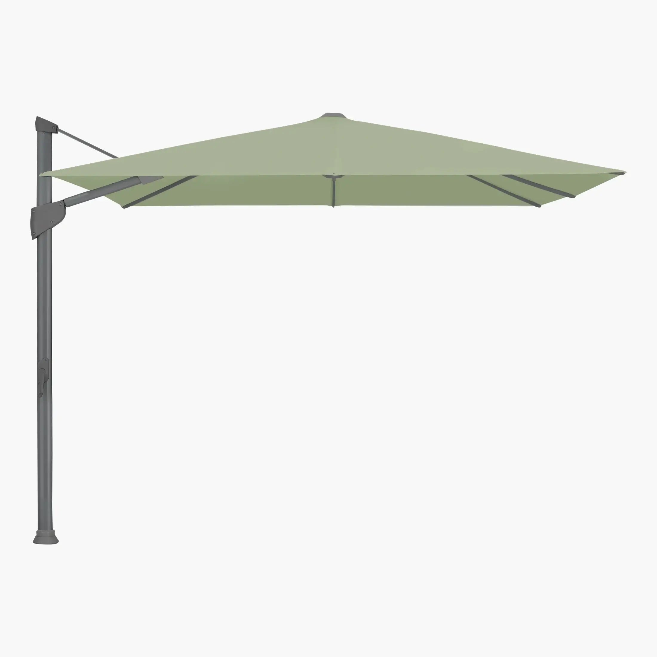 Pistacio 579. - Glatz