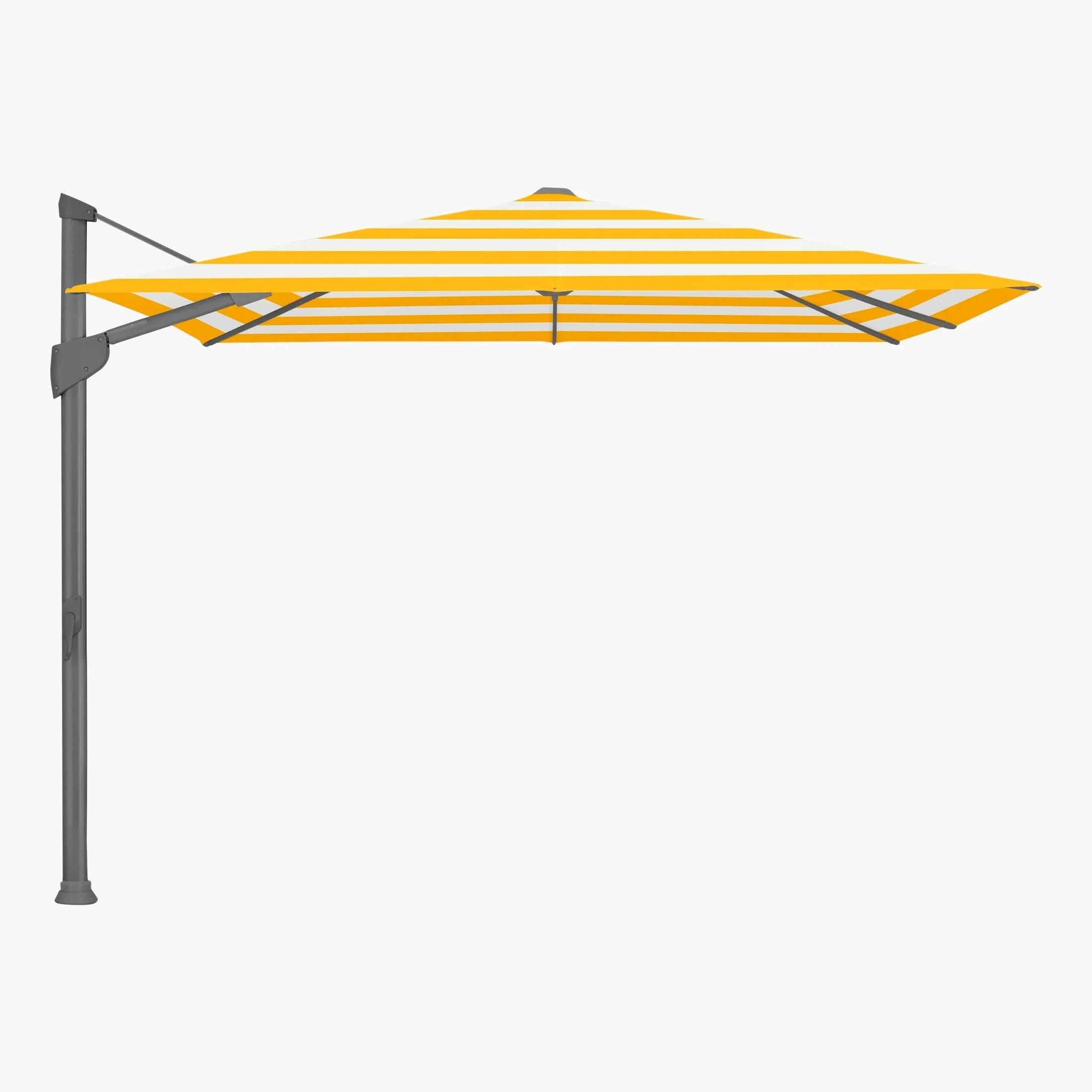Yellow Stripe 624. - Glatz