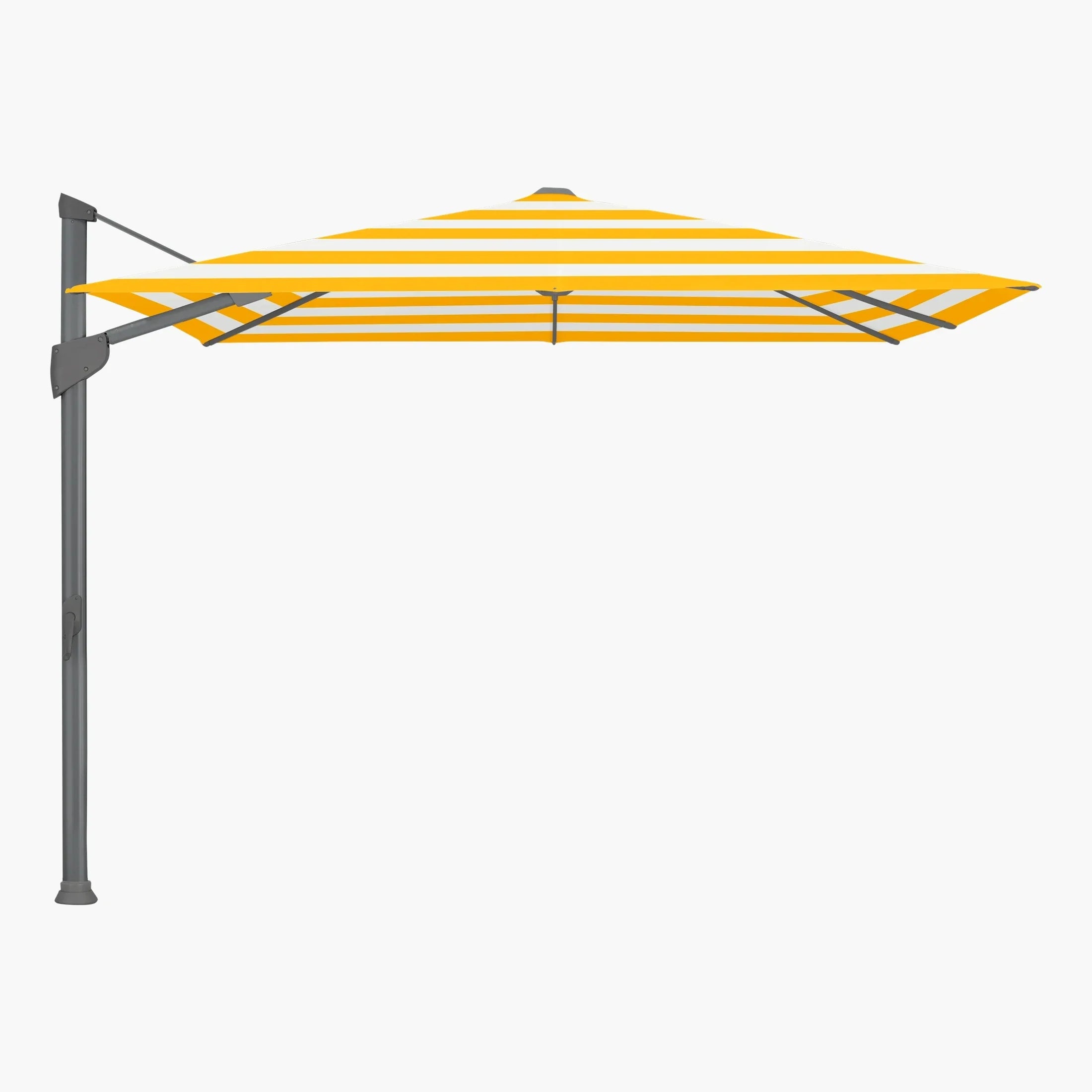 Yellow Stripe 624. - Glatz