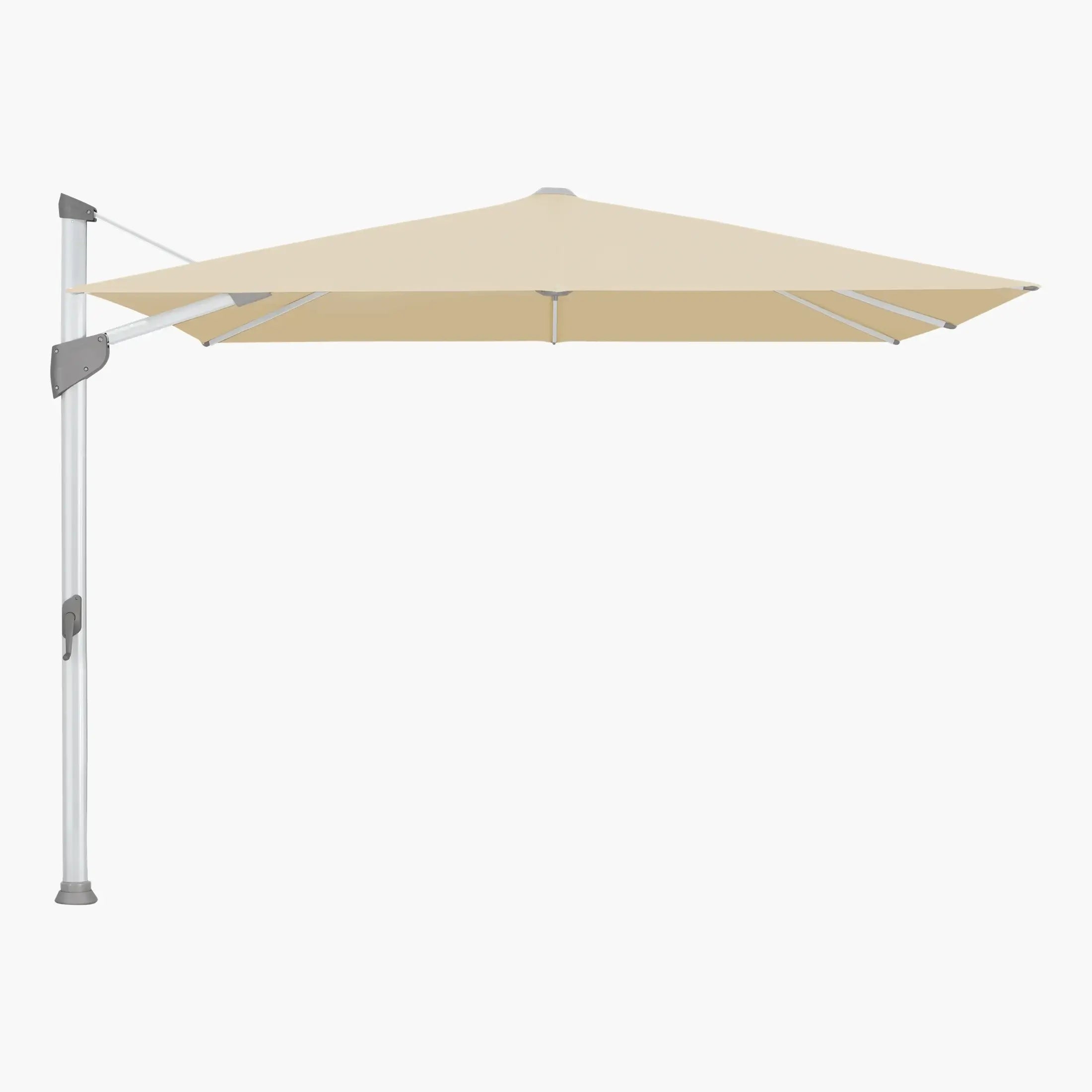 Bamboo 526 - Glatz