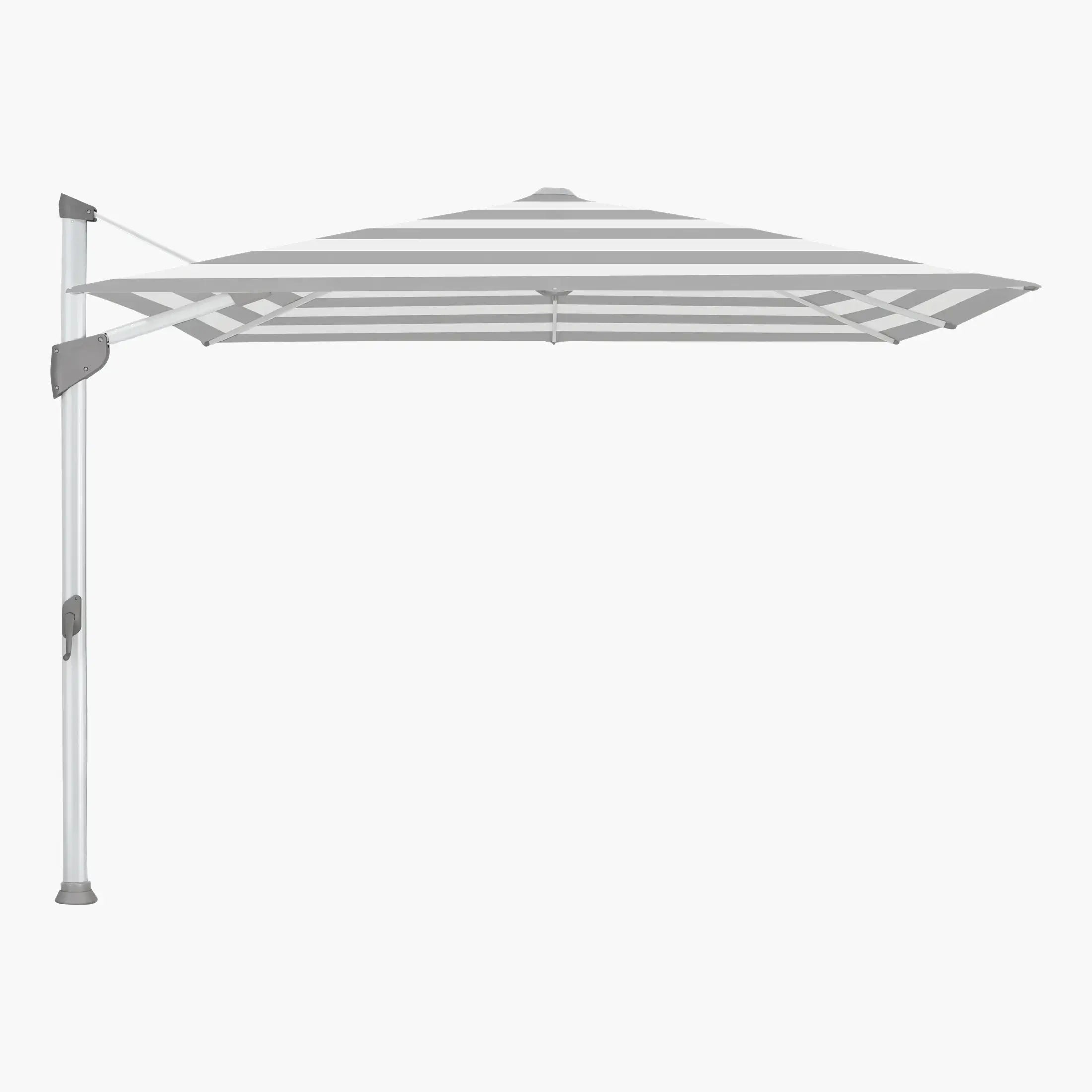 Grey Stripe 555 - Glatz