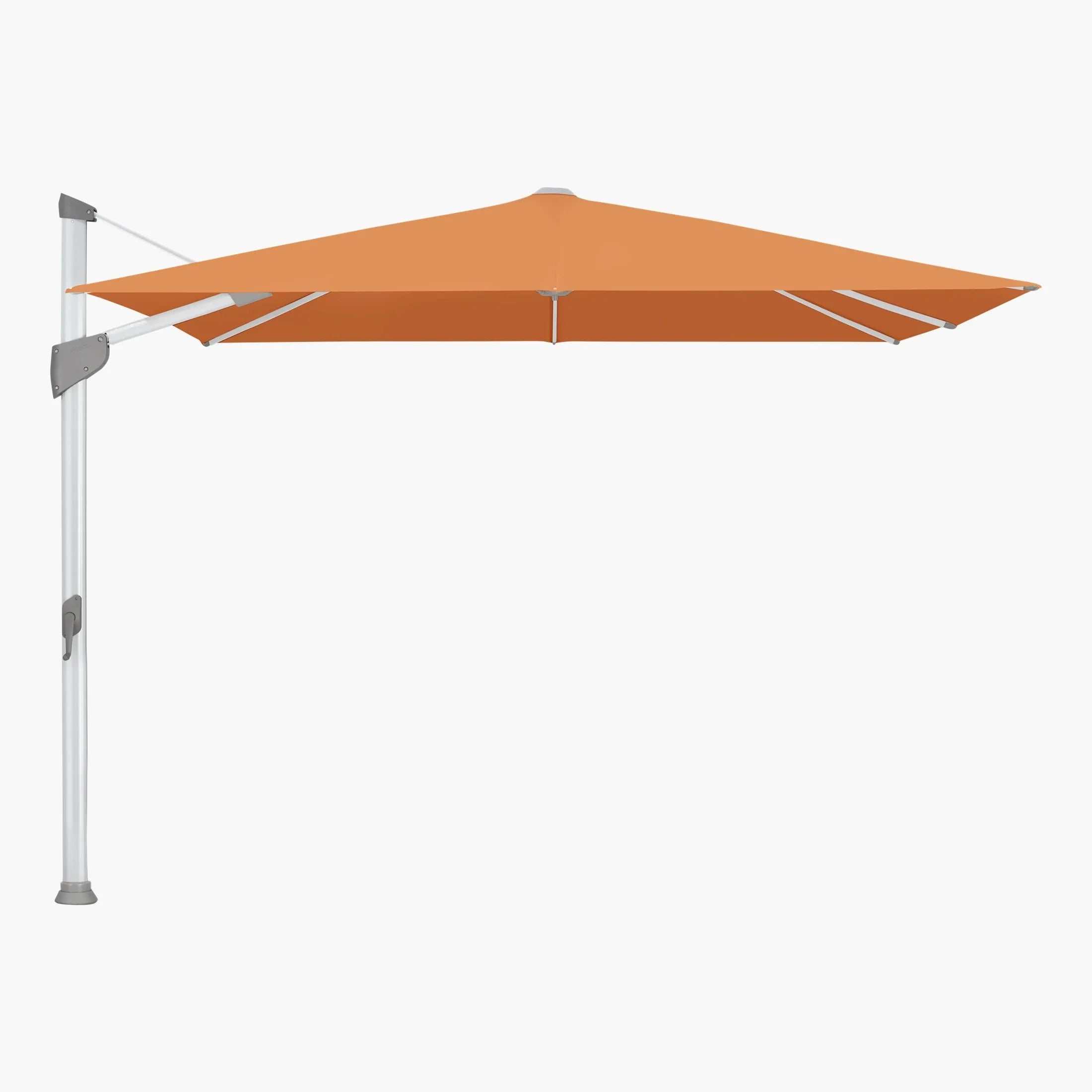 Sienna 802 - Glatz
