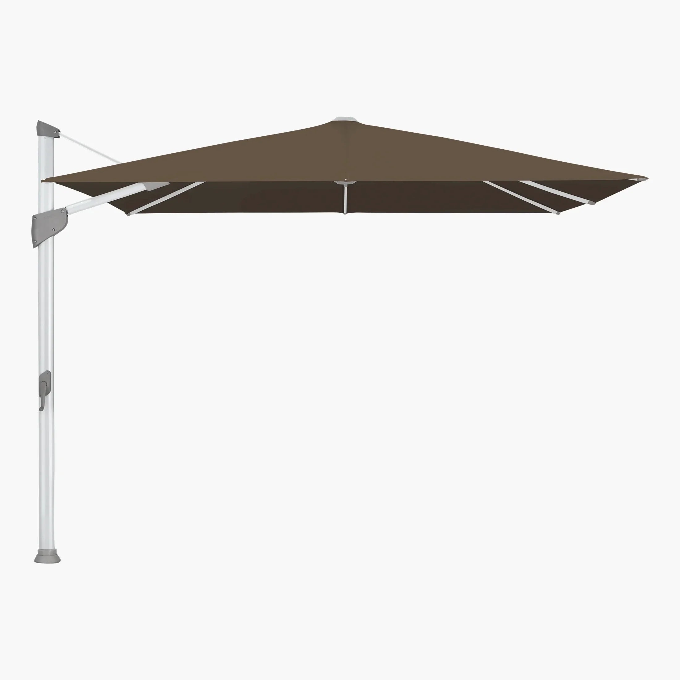 Walnut 805 - Glatz