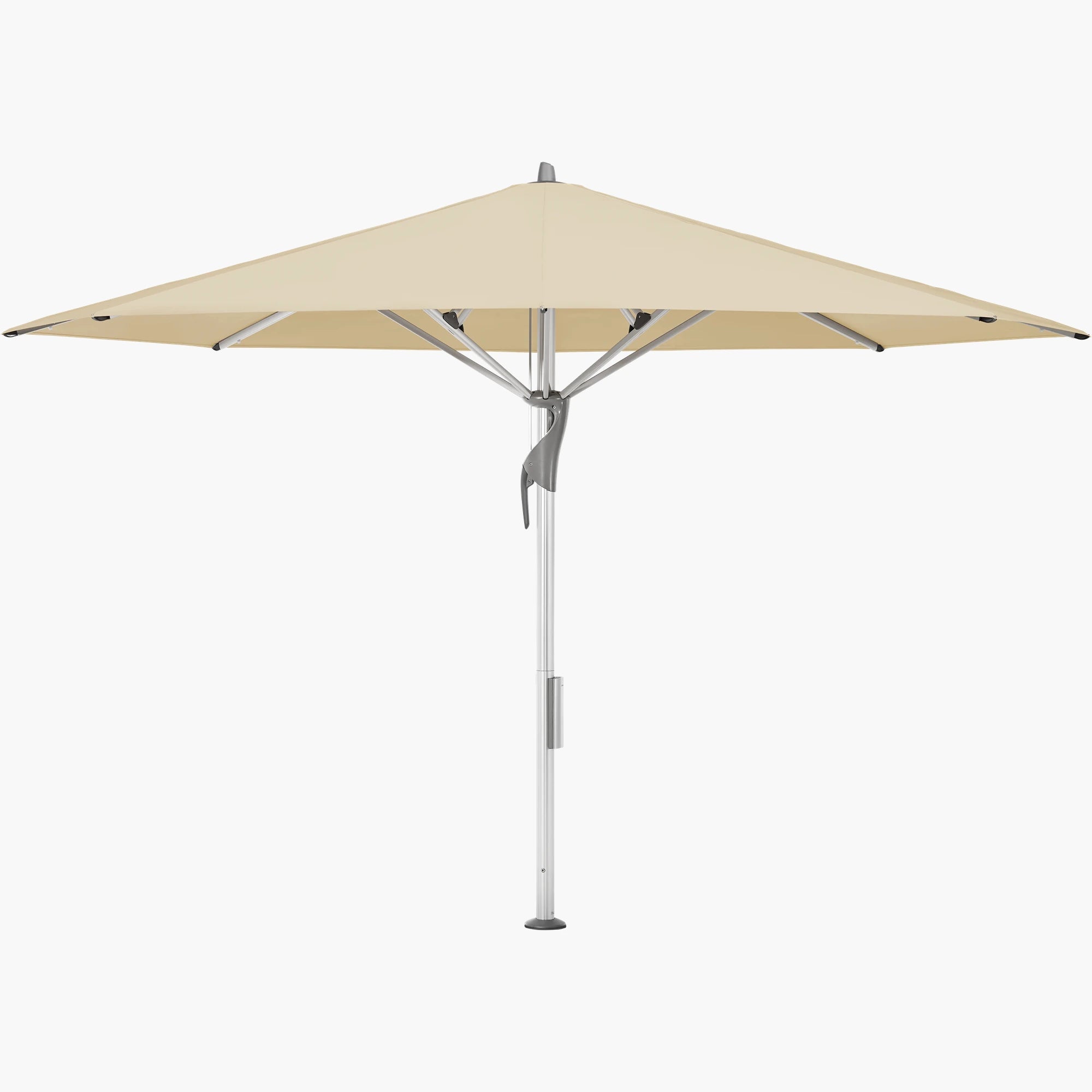 Bamboo 526 - Glatz