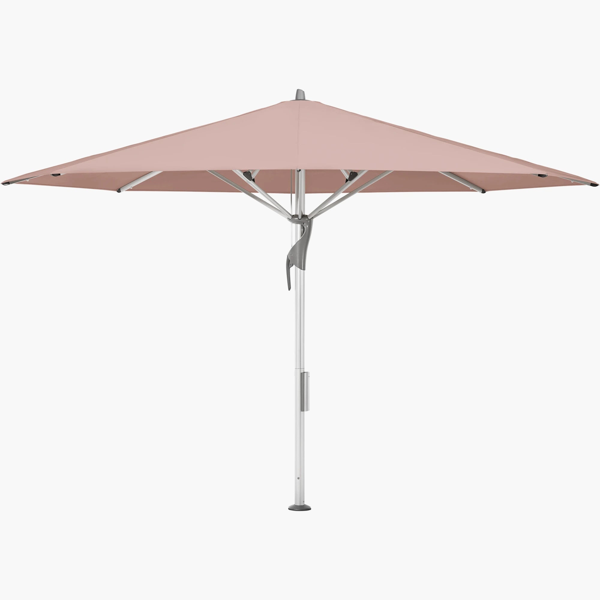 Blush 639 - Glatz