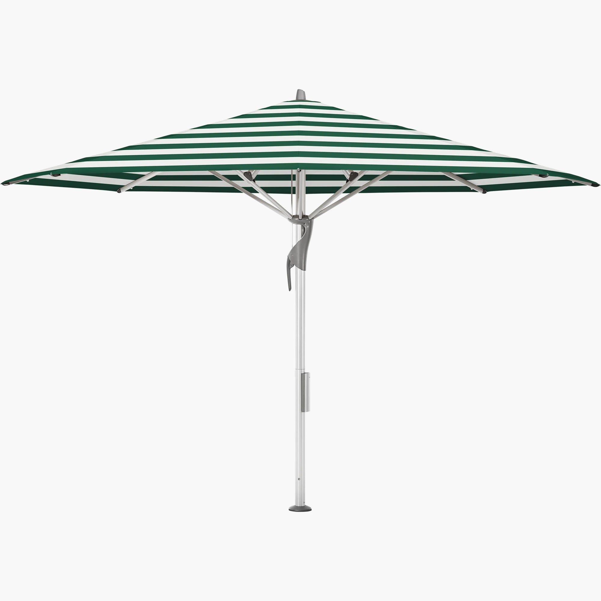 Green Stripe 589 - Glatz