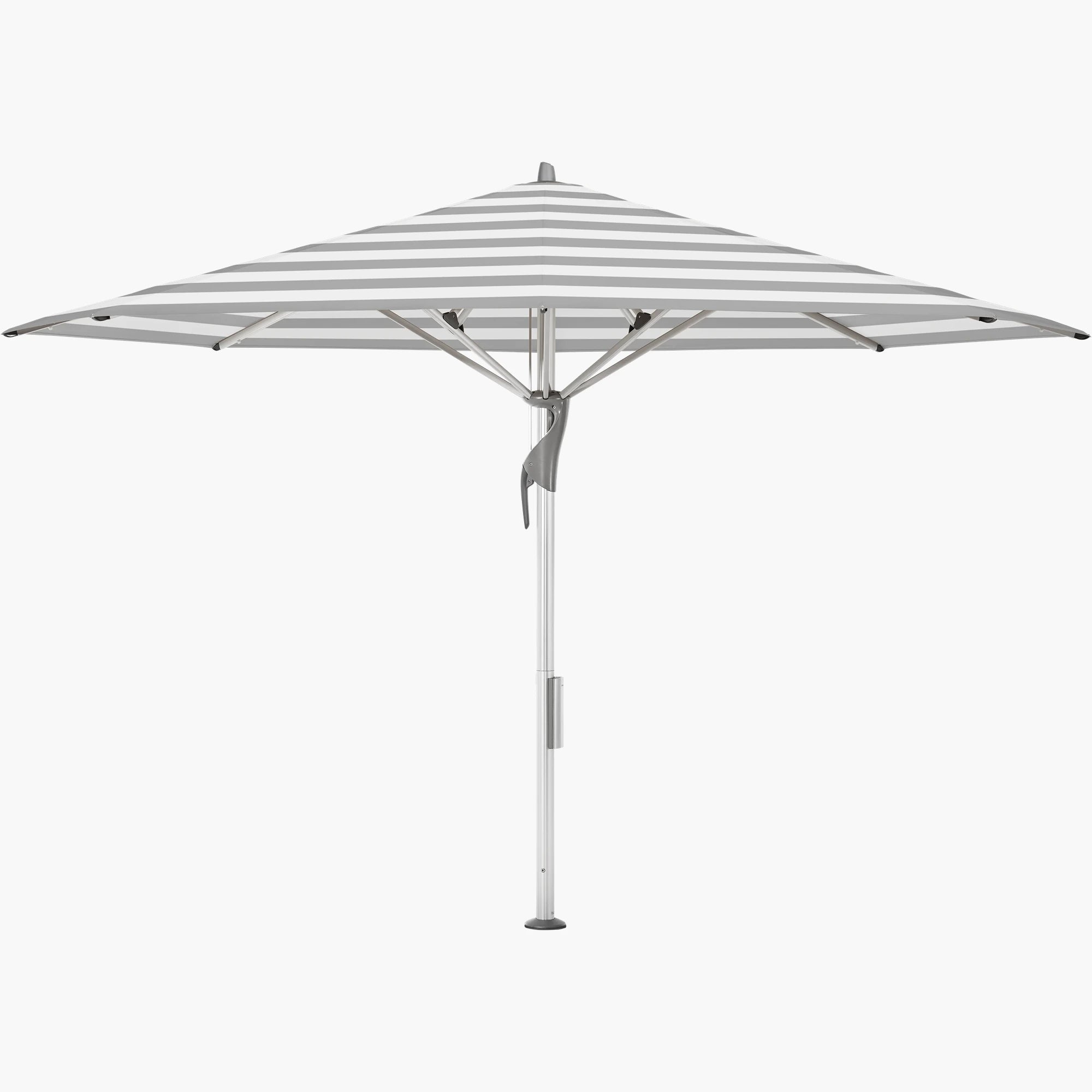 Grey Stripe 555 - Glatz