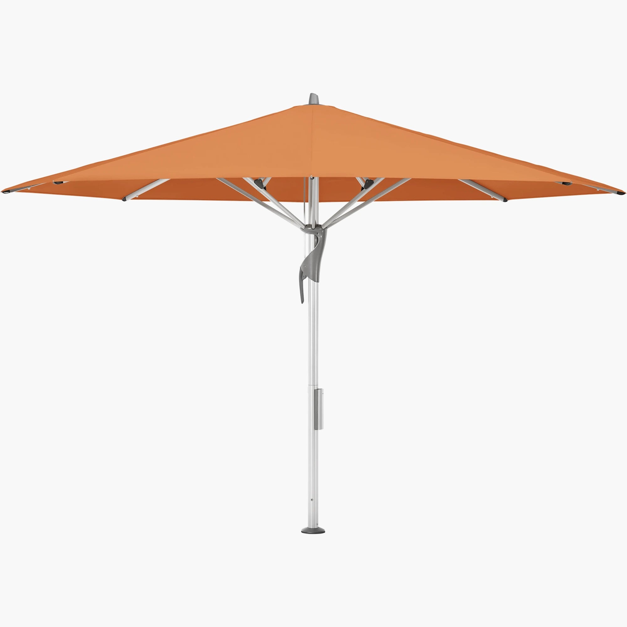 Sienna 802 - Glatz