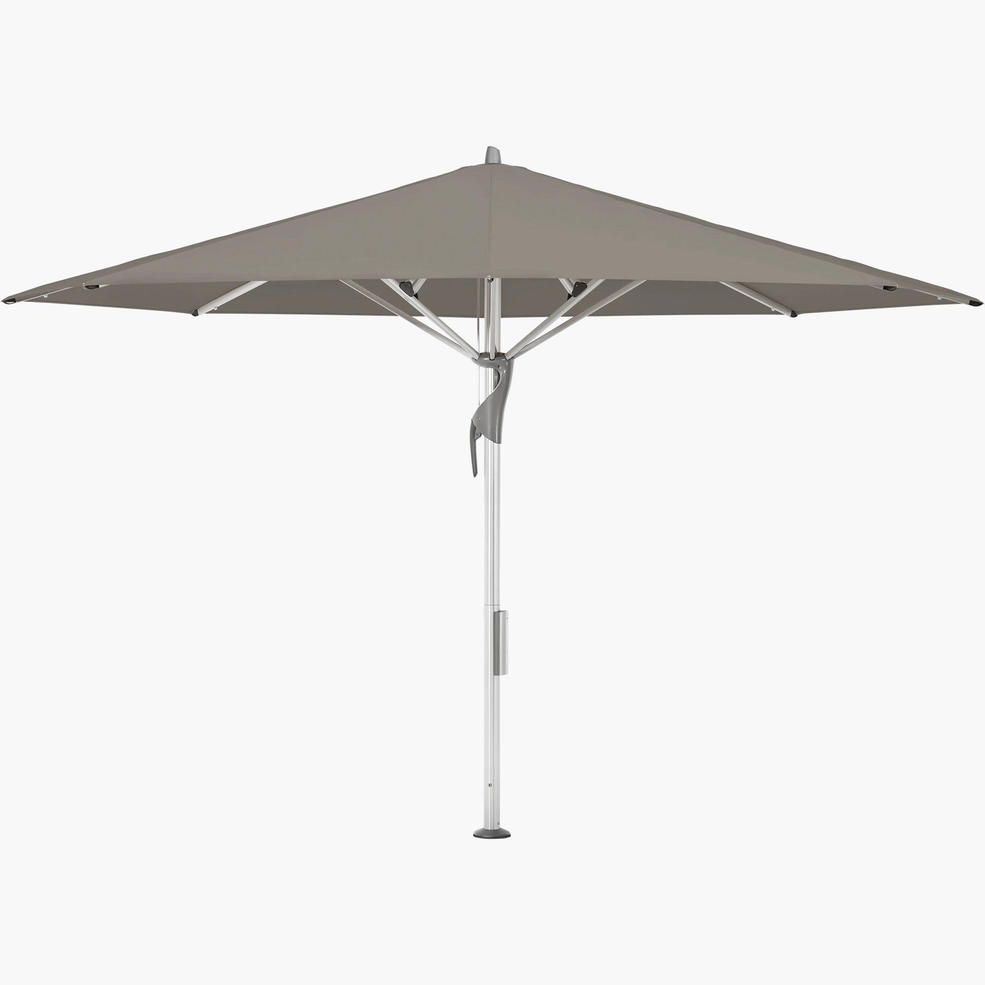 Taupe 461 - Glatz