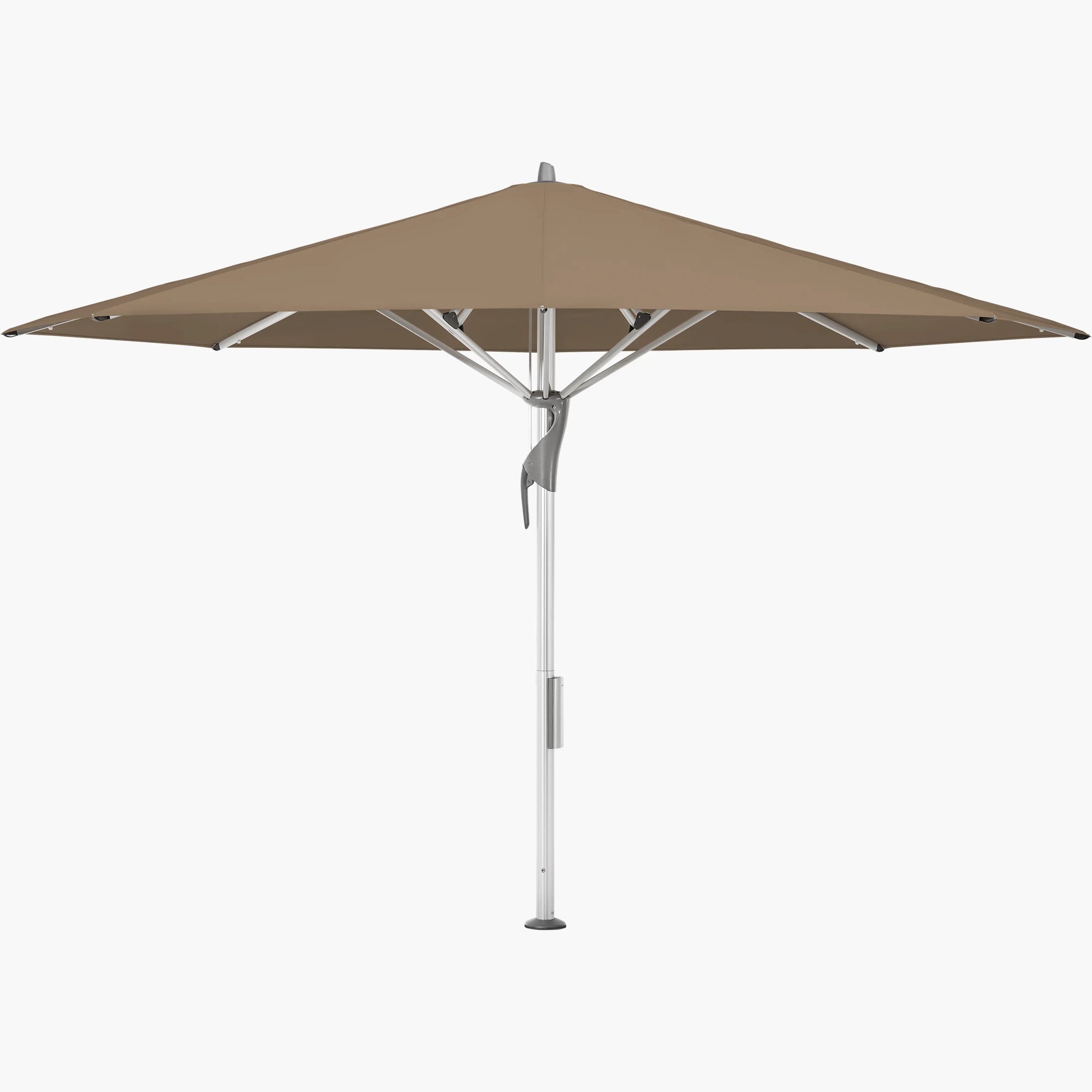 Walnut 805 - Glatz