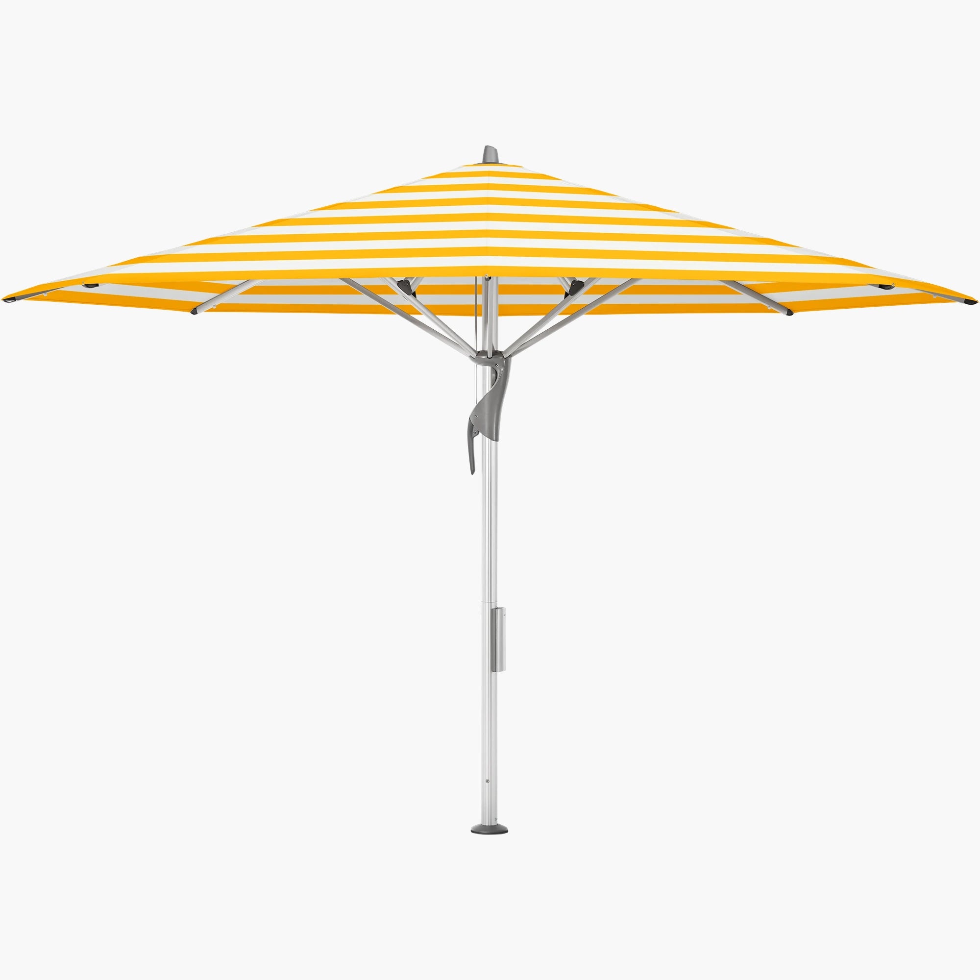 Yellow Stripe 624 - Glatz