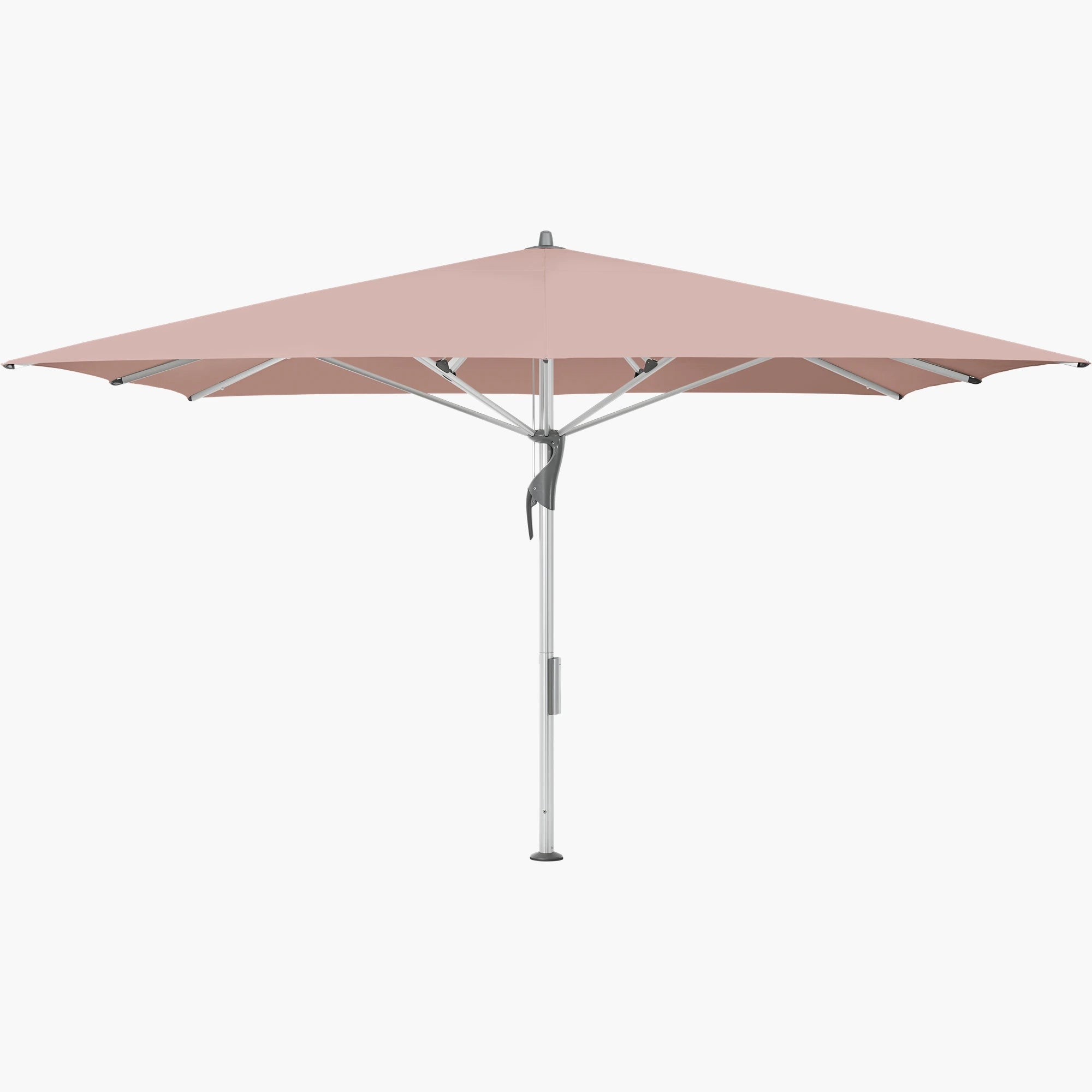 Blush 639 - Glatz