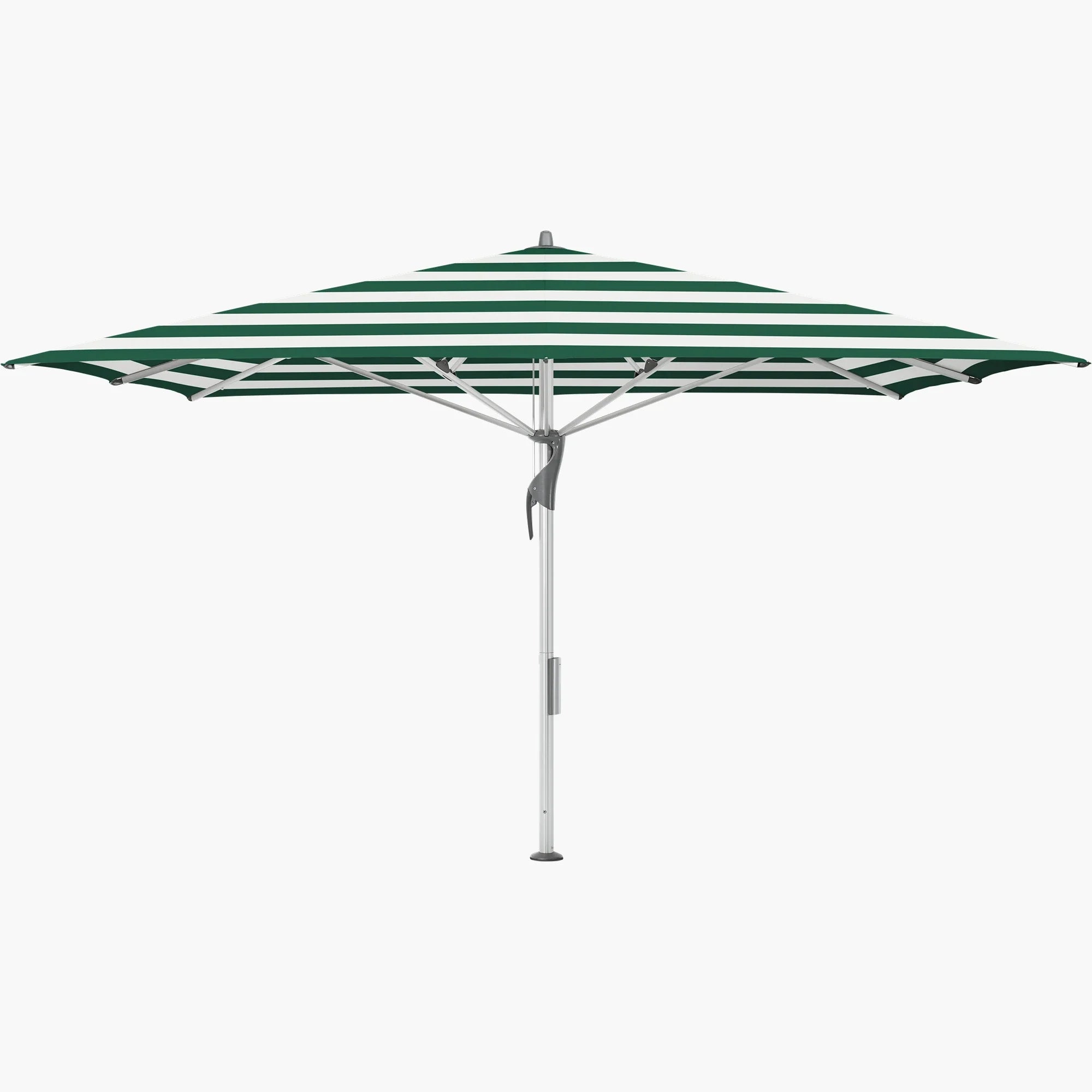 Green Stripe 589 - Glatz