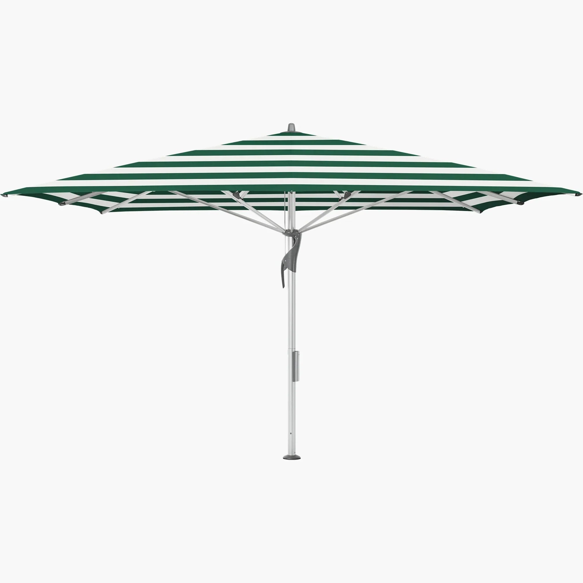 Green Stripe 589 - Glatz