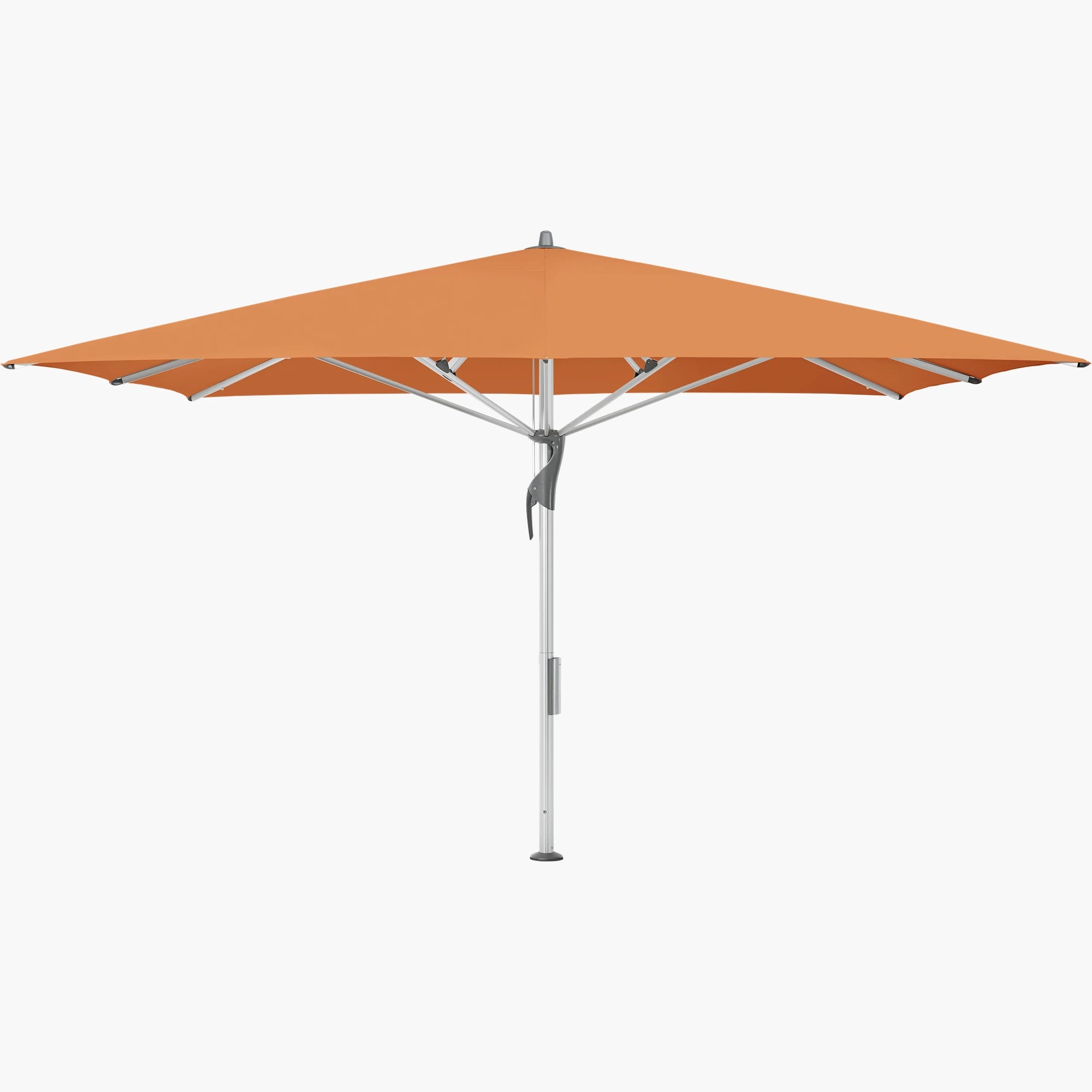 Sienna 802 - Glatz