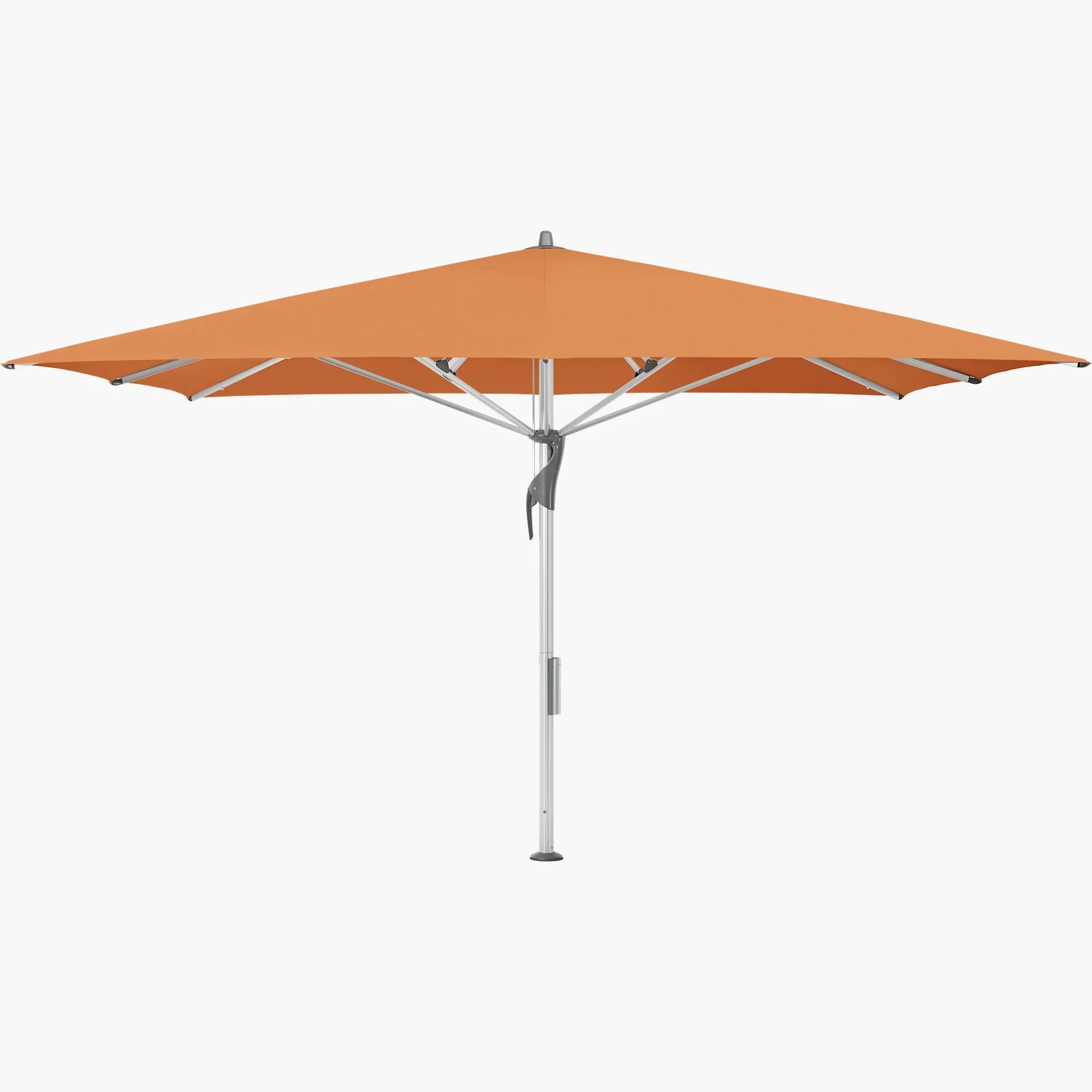 Sienna 802 - Glatz