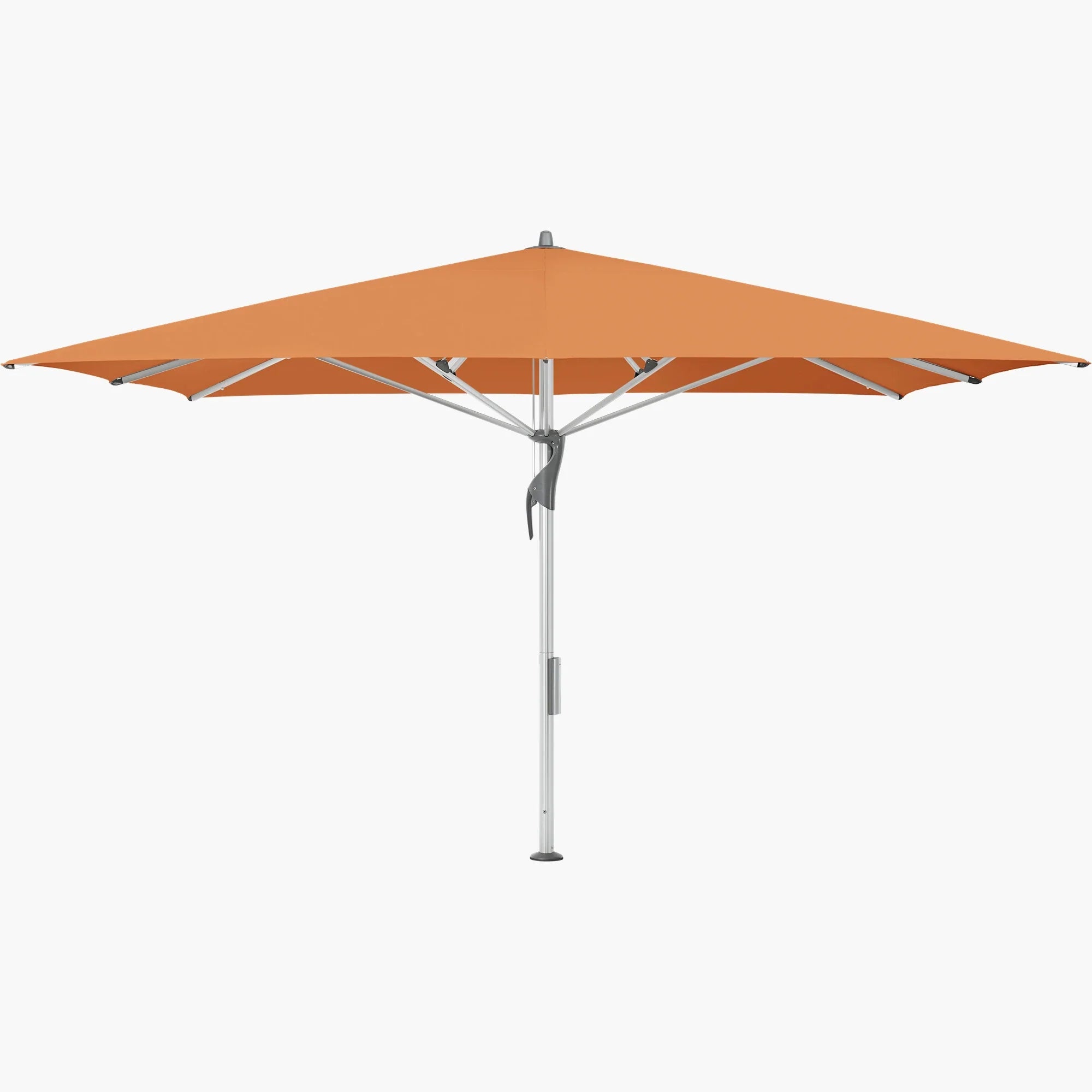 Sienna 802 - Glatz