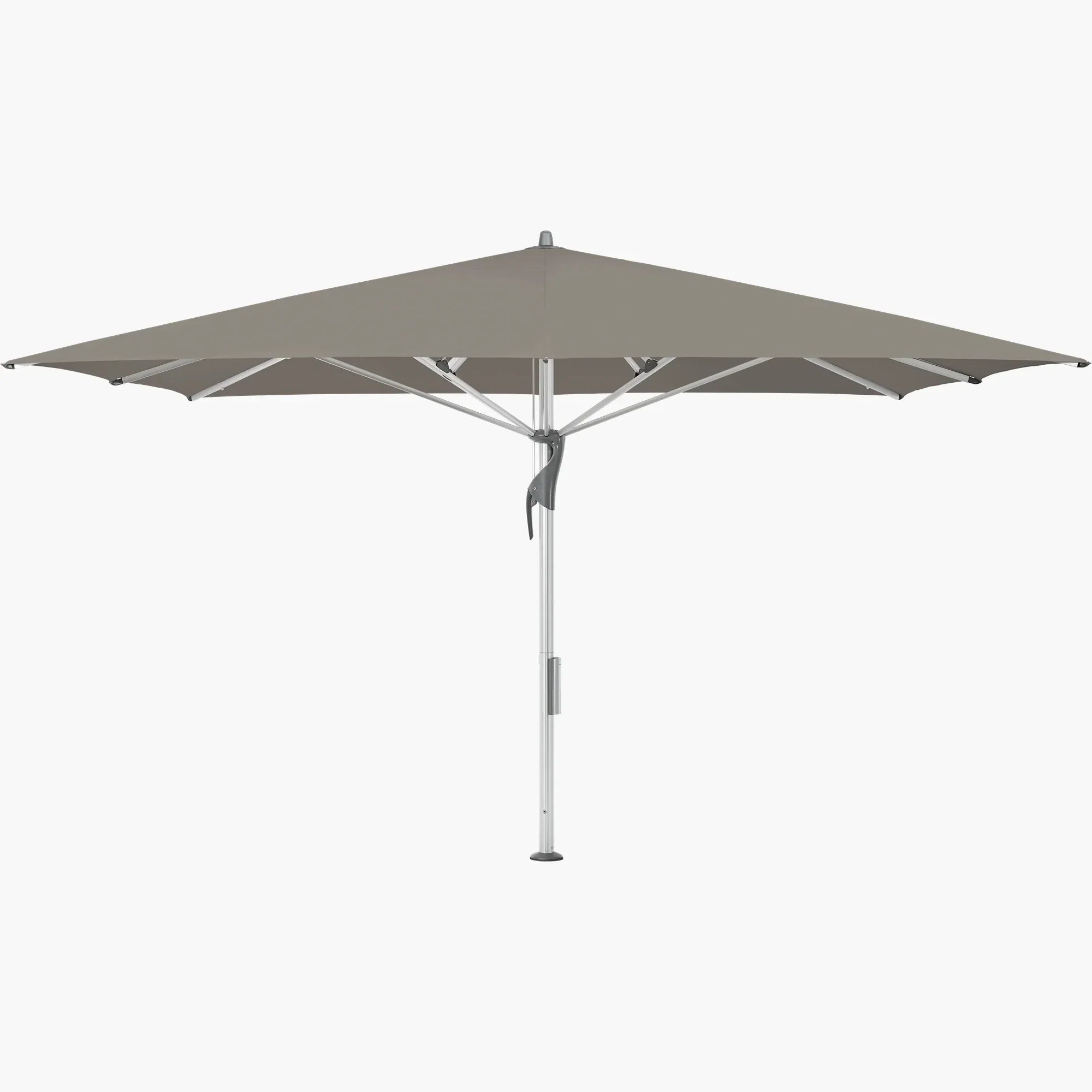 Taupe 461 - Glatz