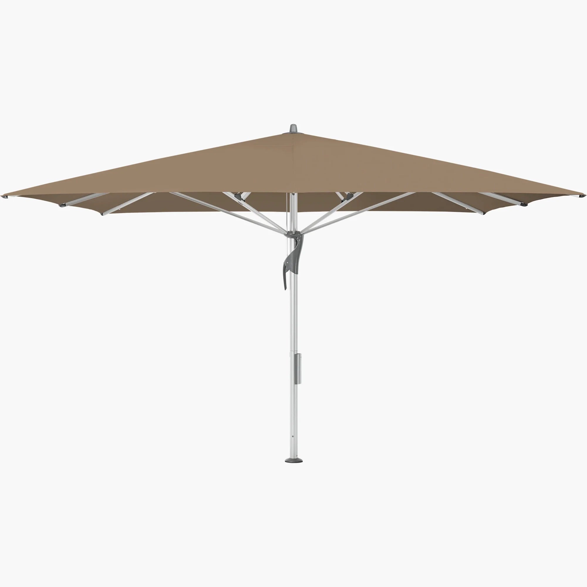 Walnut 805 - Glatz