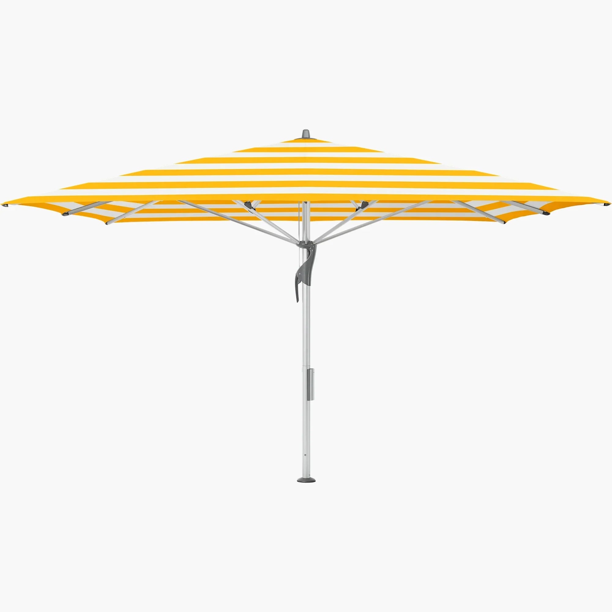 Yellow Stripe 624 - Glatz