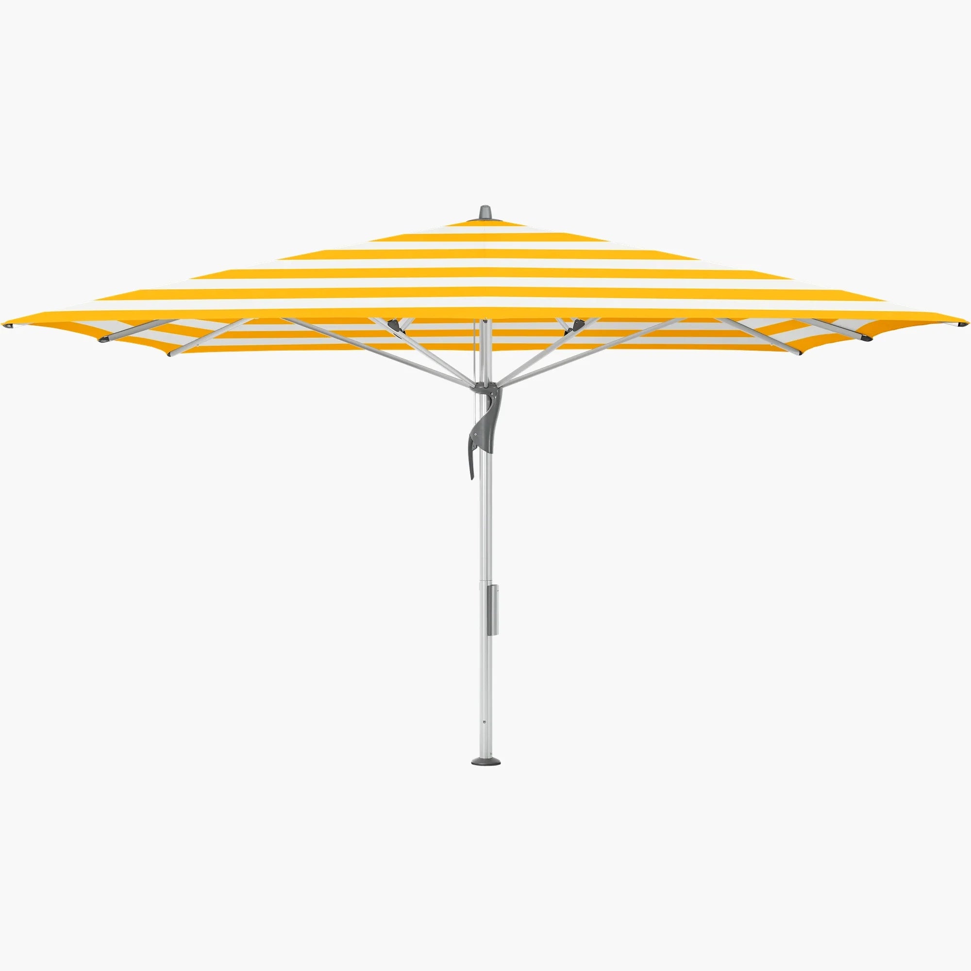 Yellow Stripe 624 - Glatz