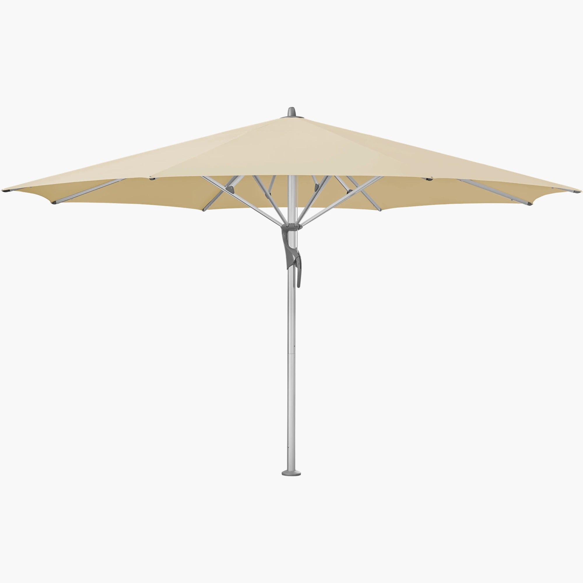 Bamboo 526 - Glatz