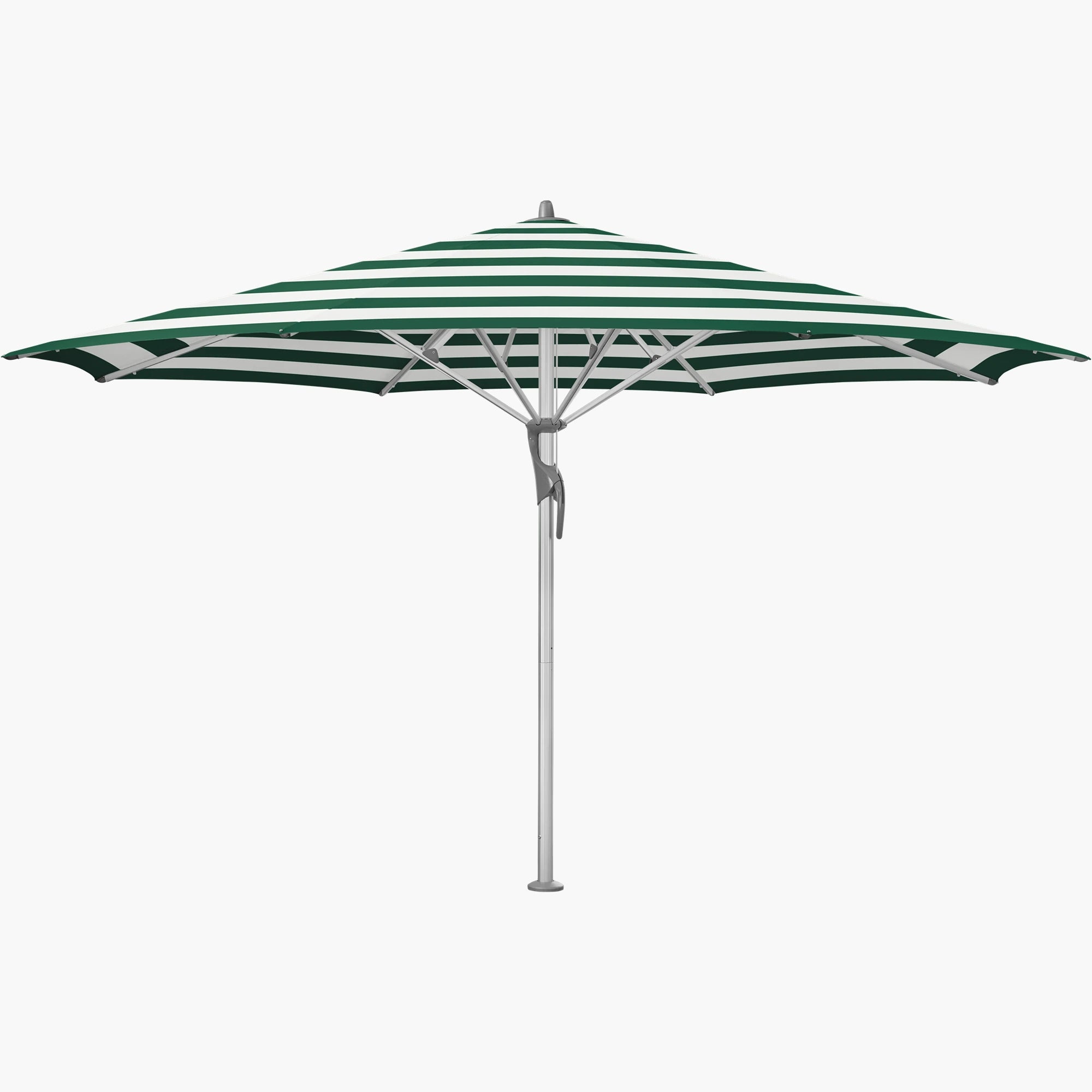 Green Stripe 589 - Glatz