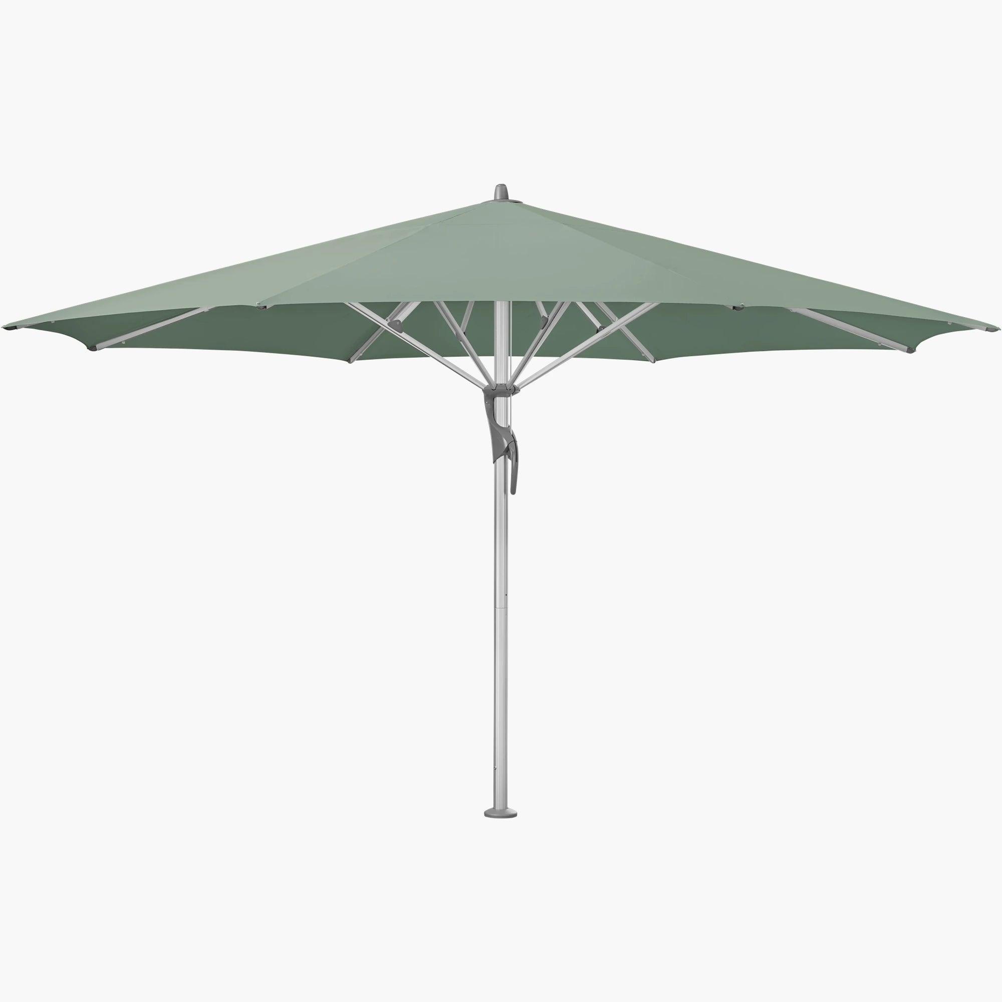 Olive 588 - Glatz