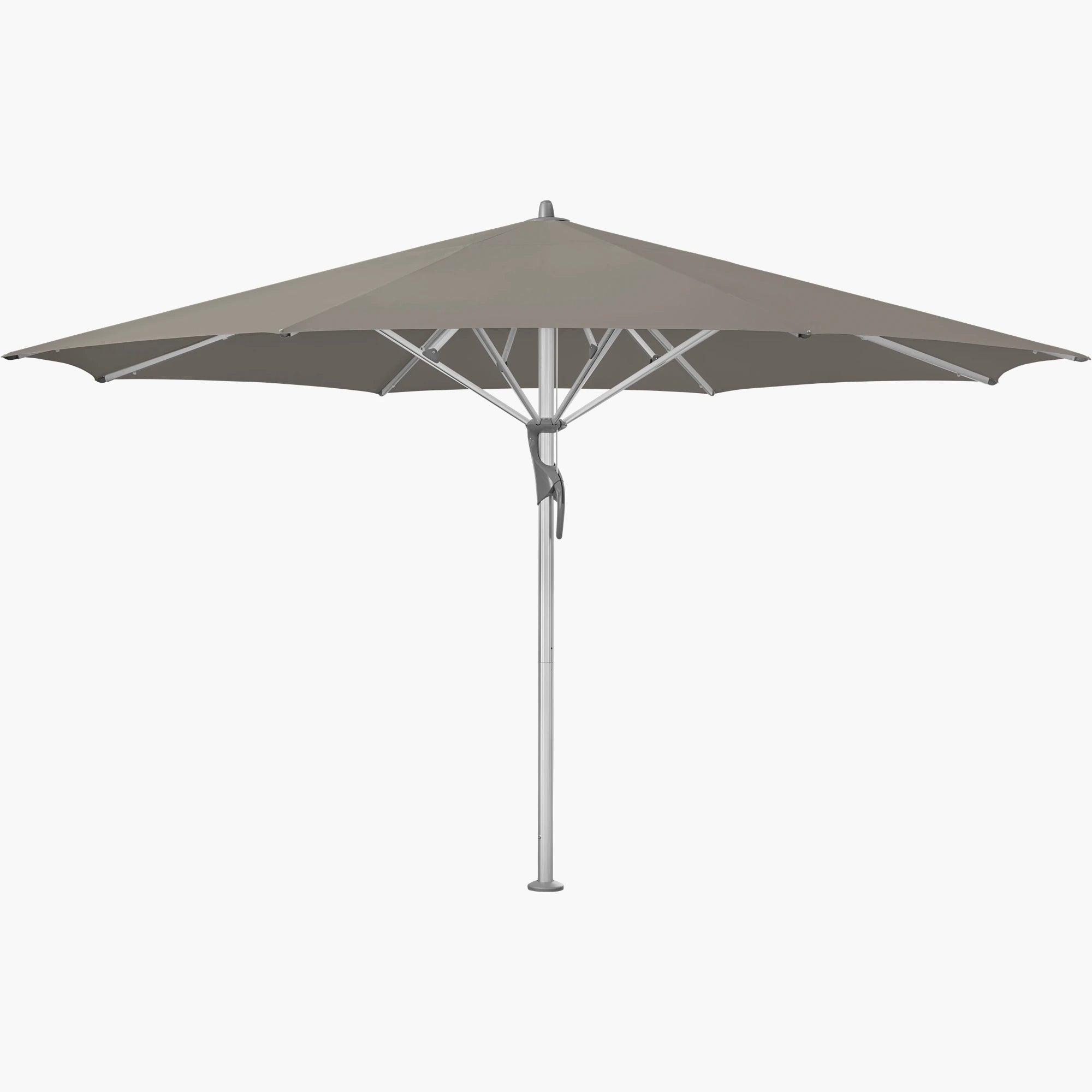 Taupe 461 - Glatz