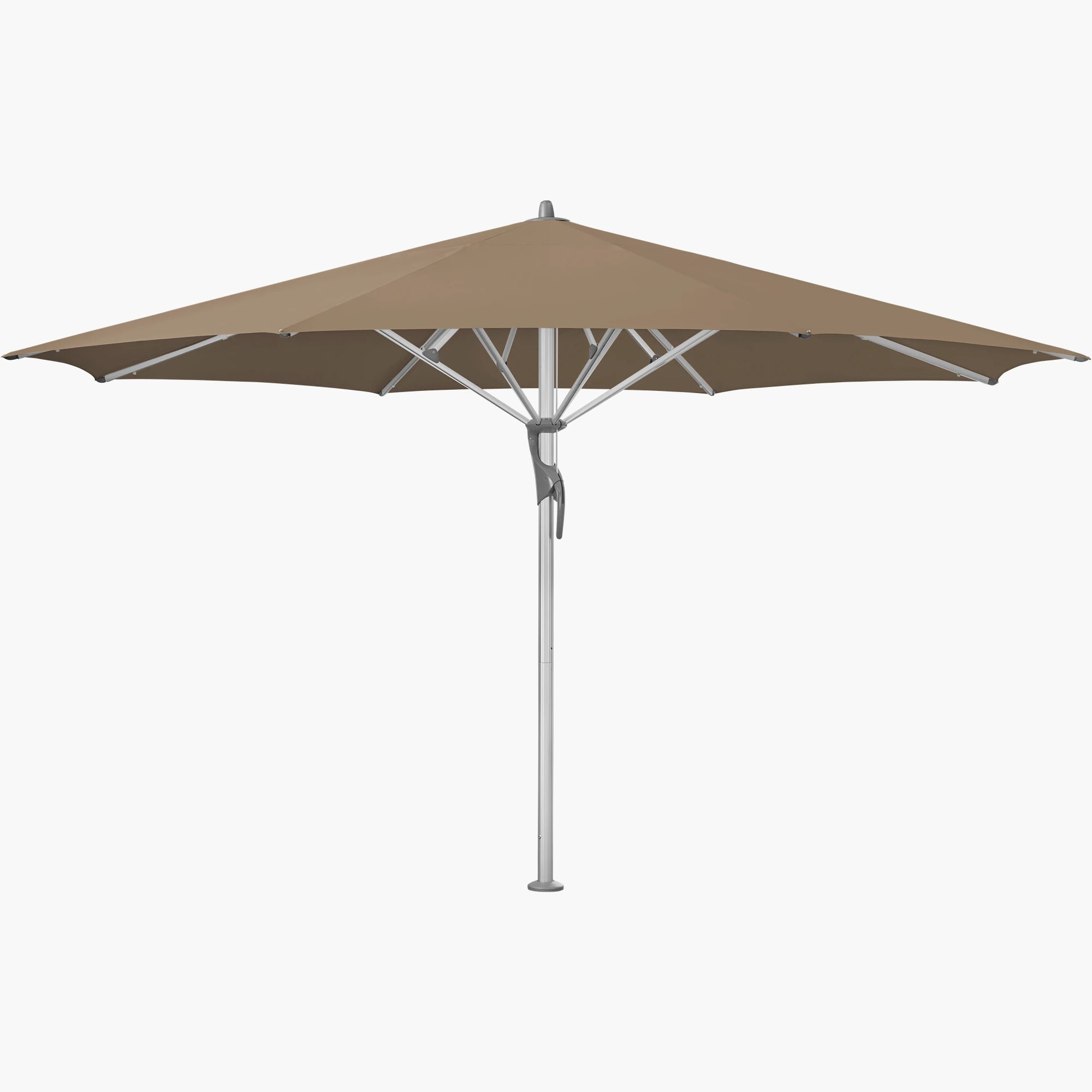 Walnut 805 - Glatz
