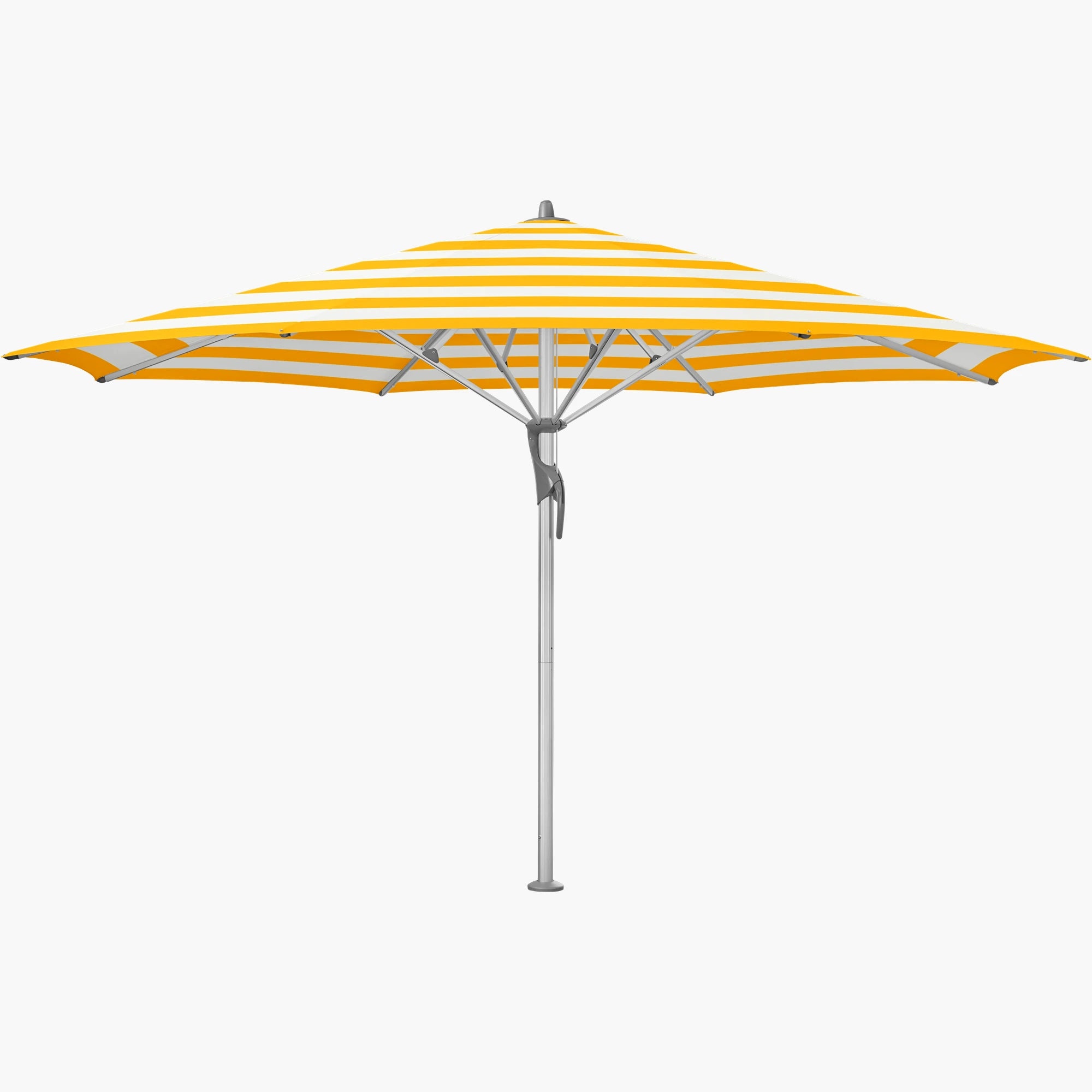 Yellow Stripe 624 - Glatz