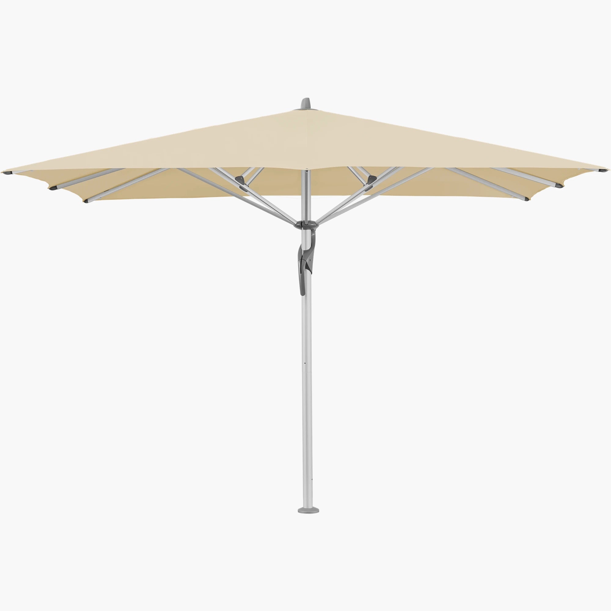 Bamboo 526 - Glatz