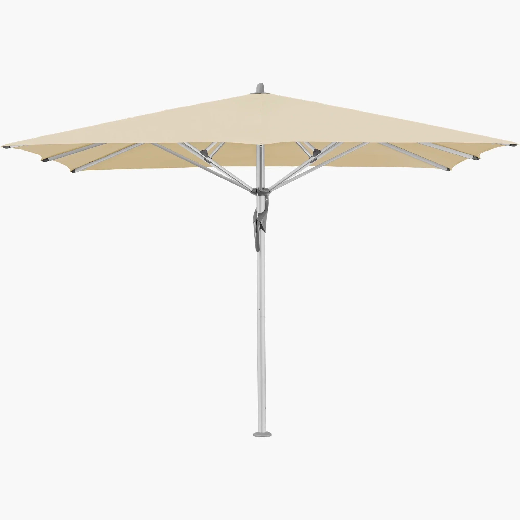 Bamboo 526 - Glatz