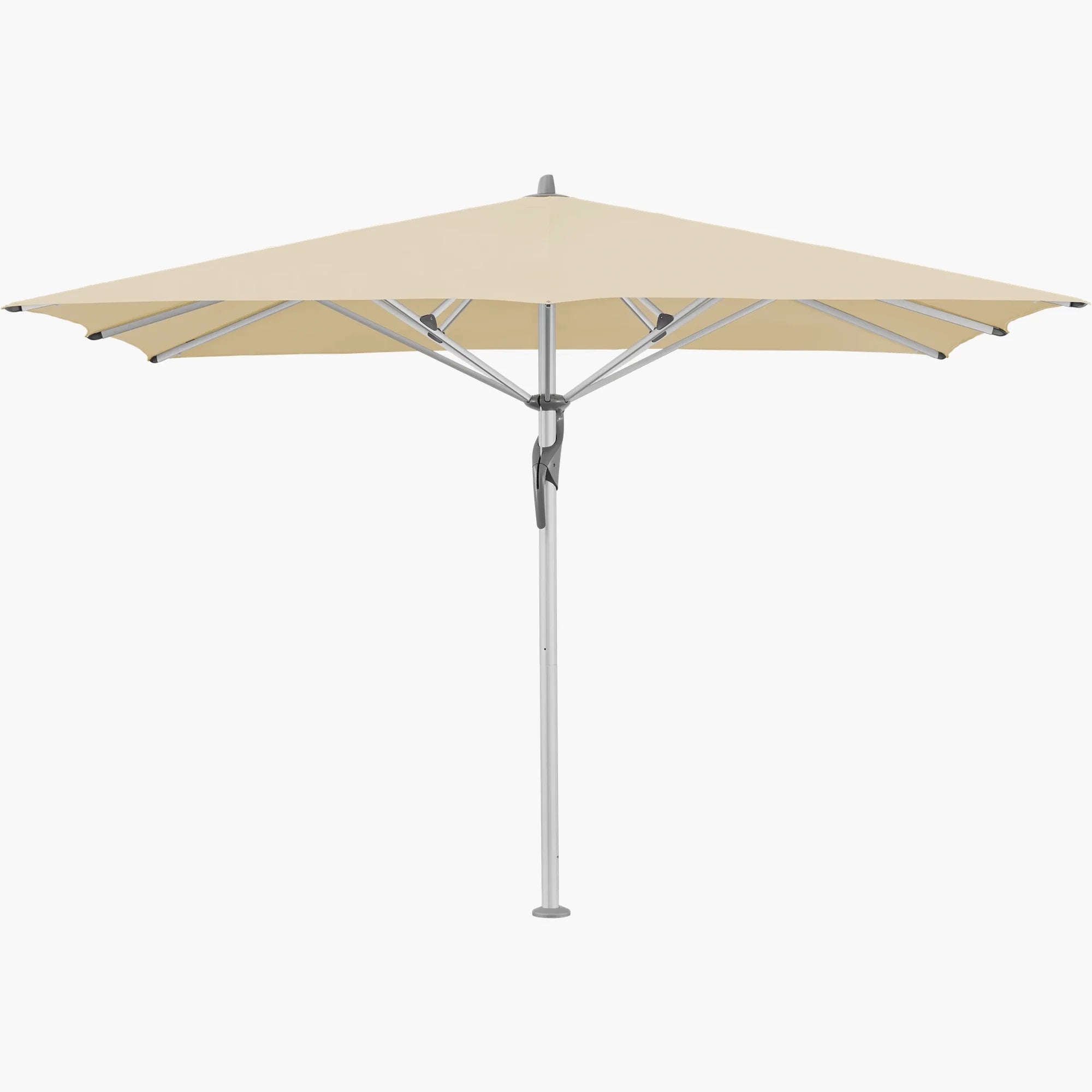 Bamboo 526 - Glatz