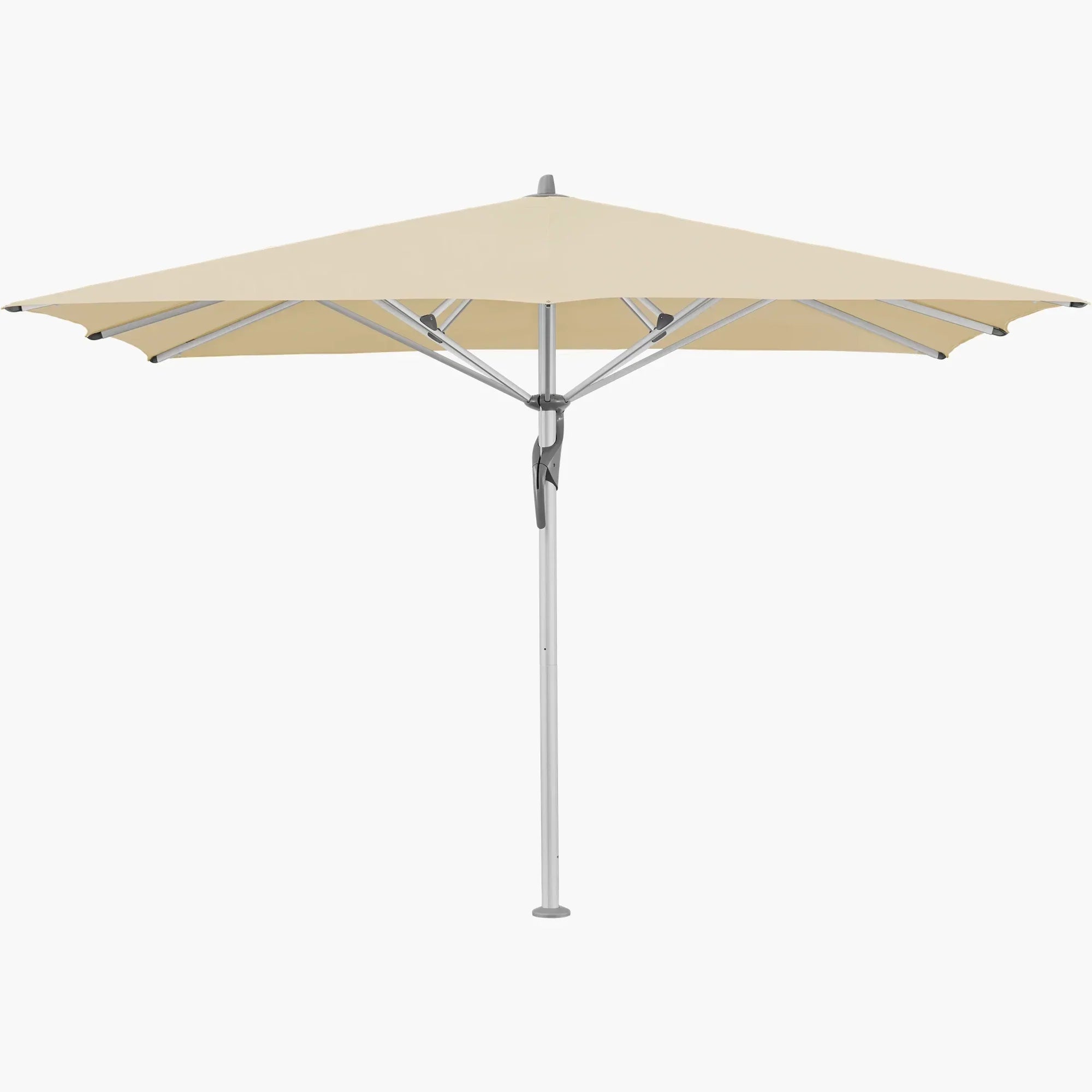 Bamboo 526 - Glatz