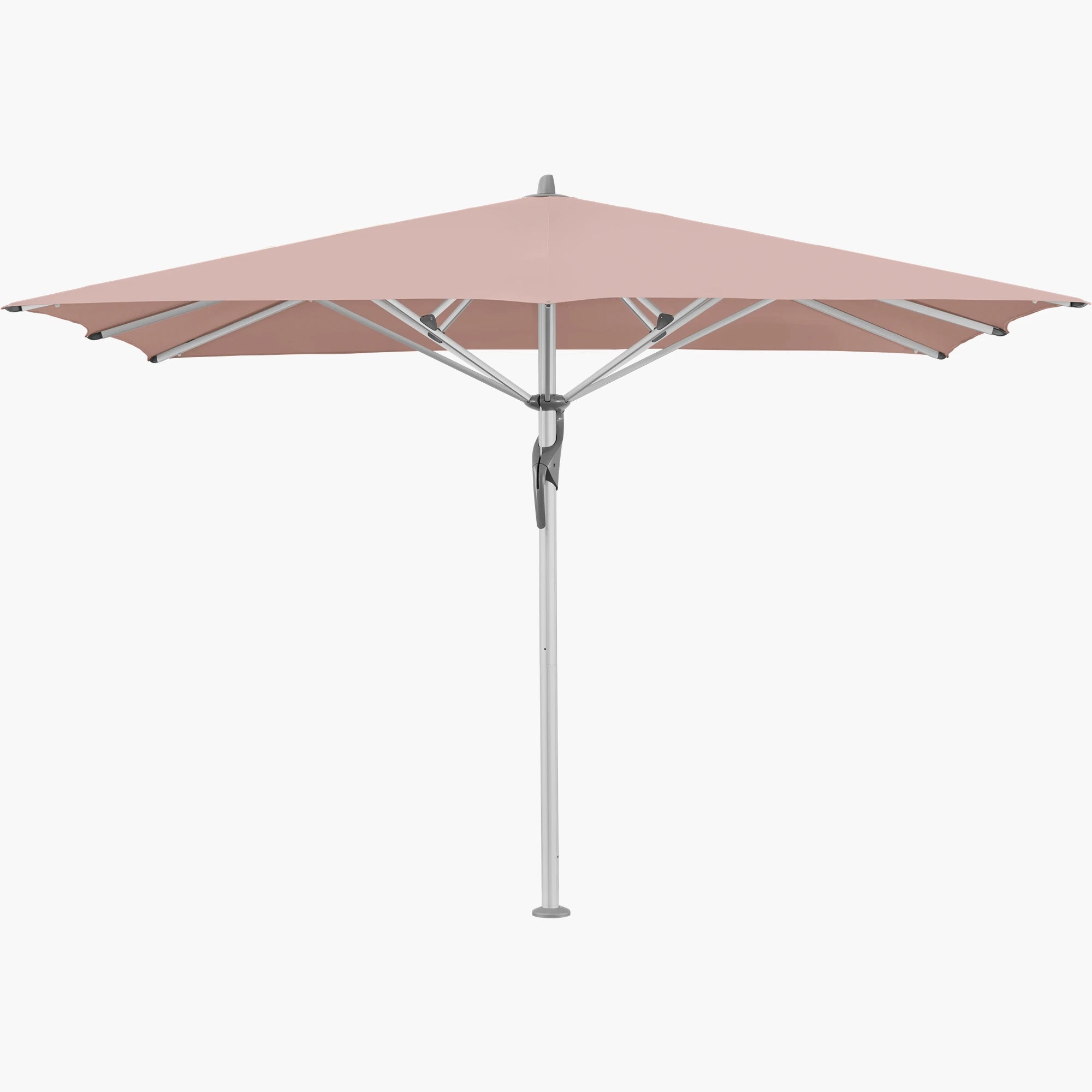 Blush 639 - Glatz