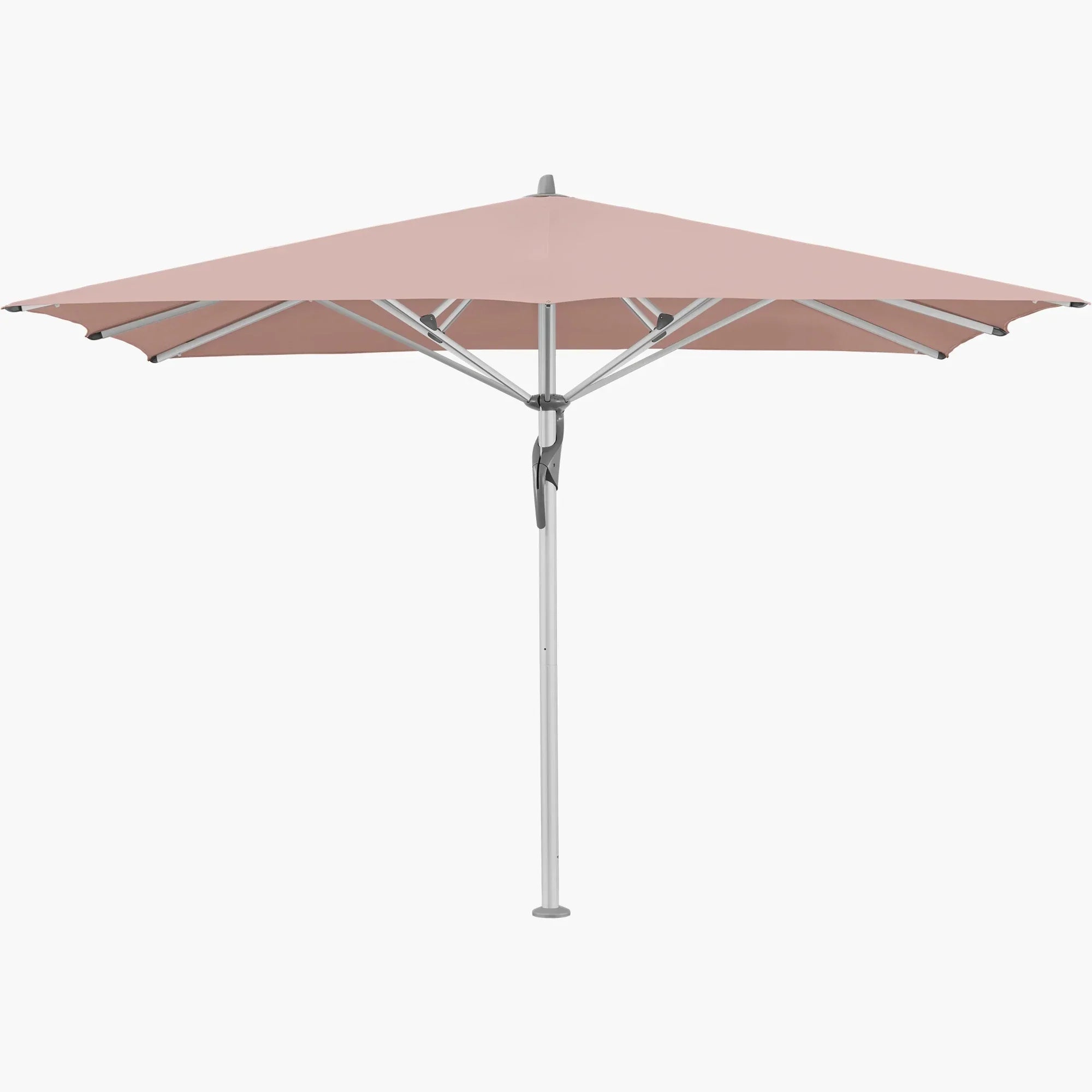 Blush 639 - Glatz
