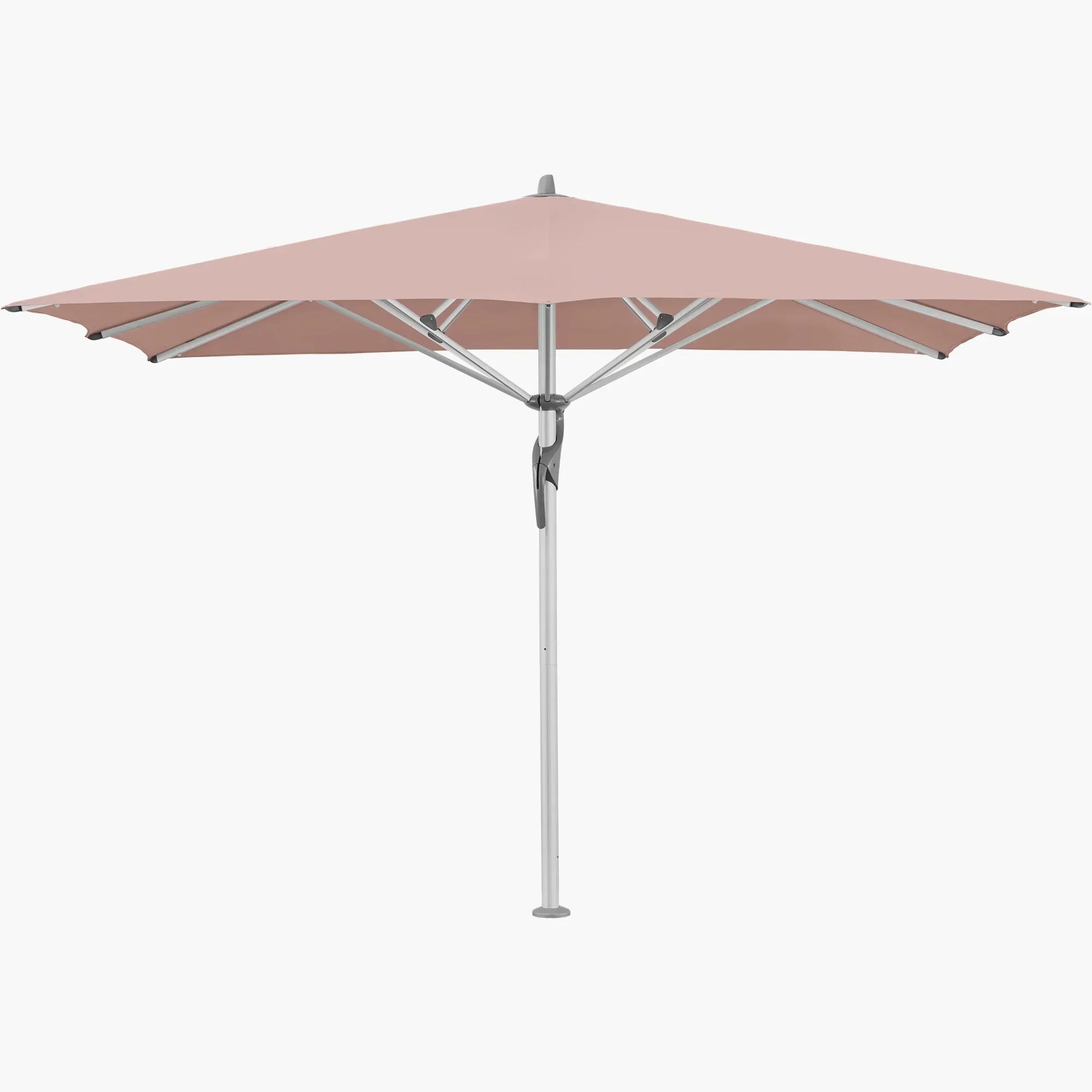 Blush 639 - Glatz
