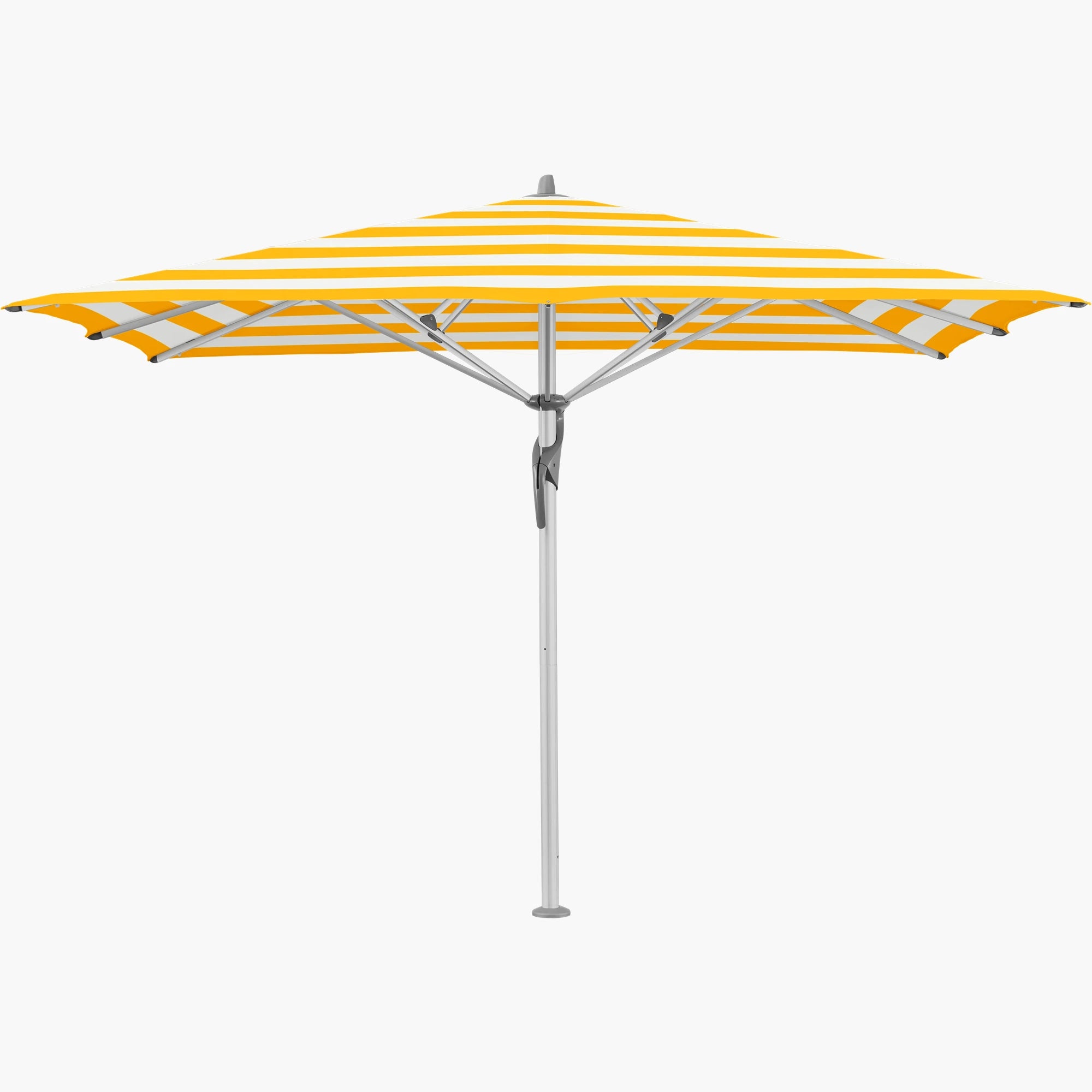 Yellow Stripe 624 - Glatz