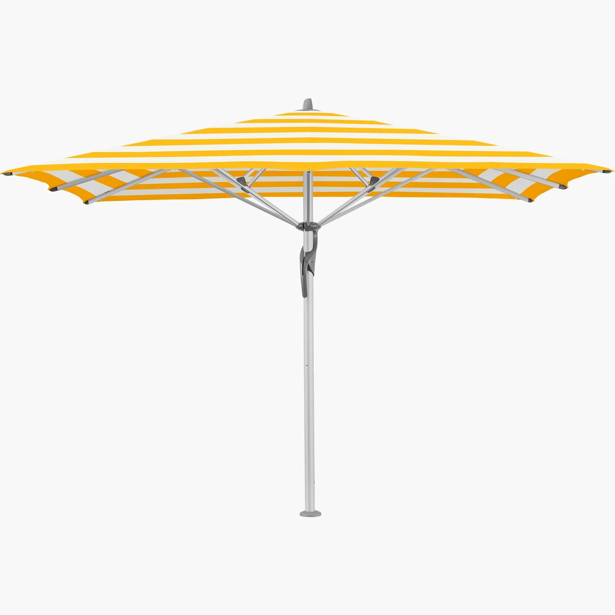 Yellow Stripe 624 - Glatz