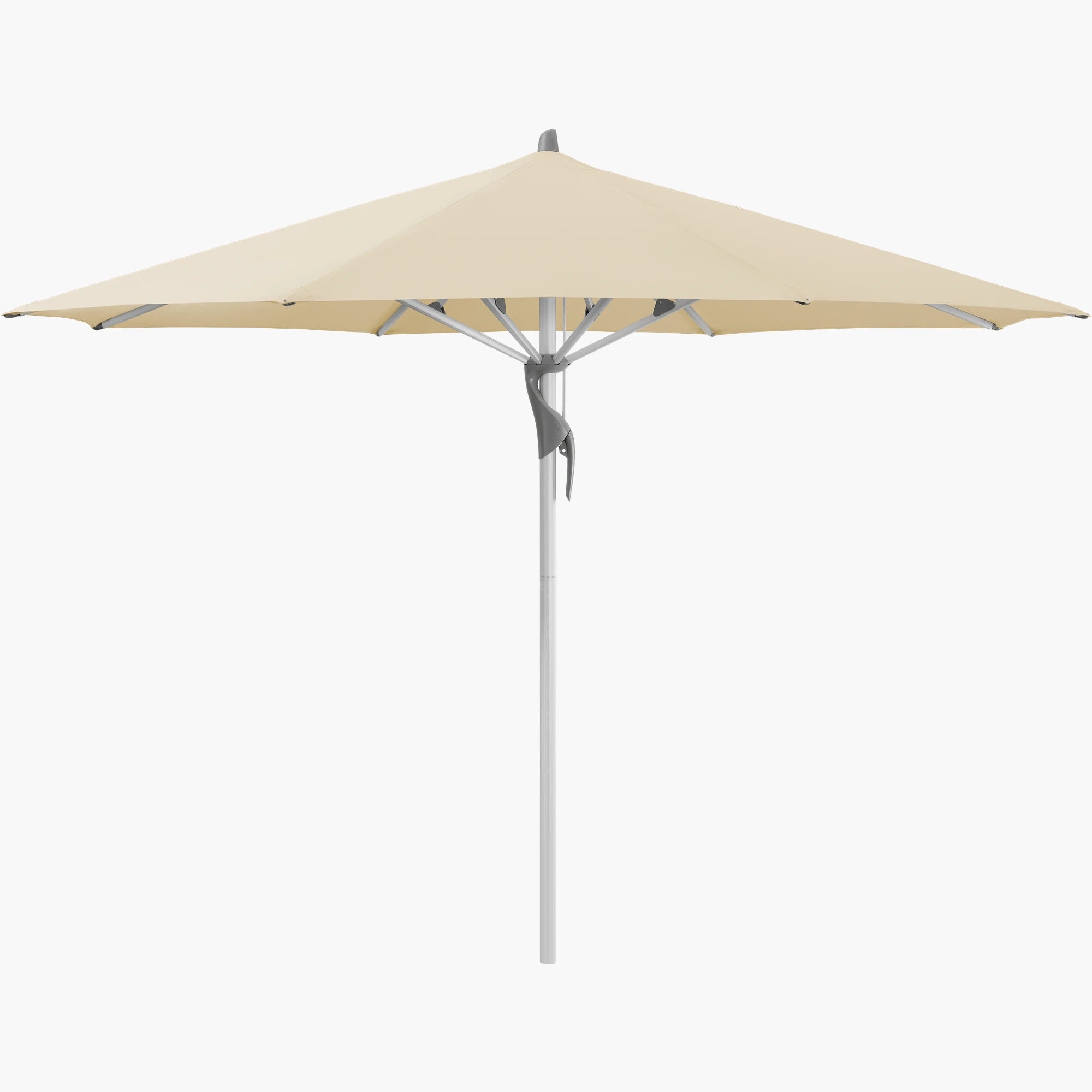 Bamboo 526 - Glatz