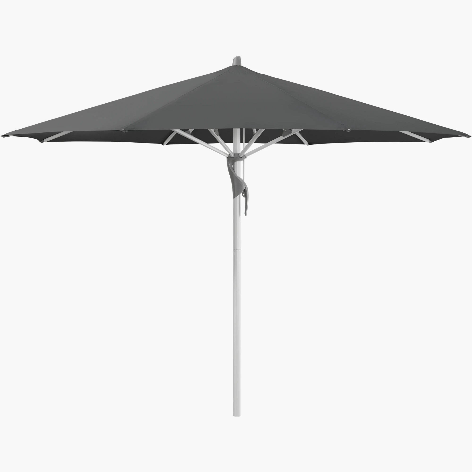 Carbone 669 - Glatz