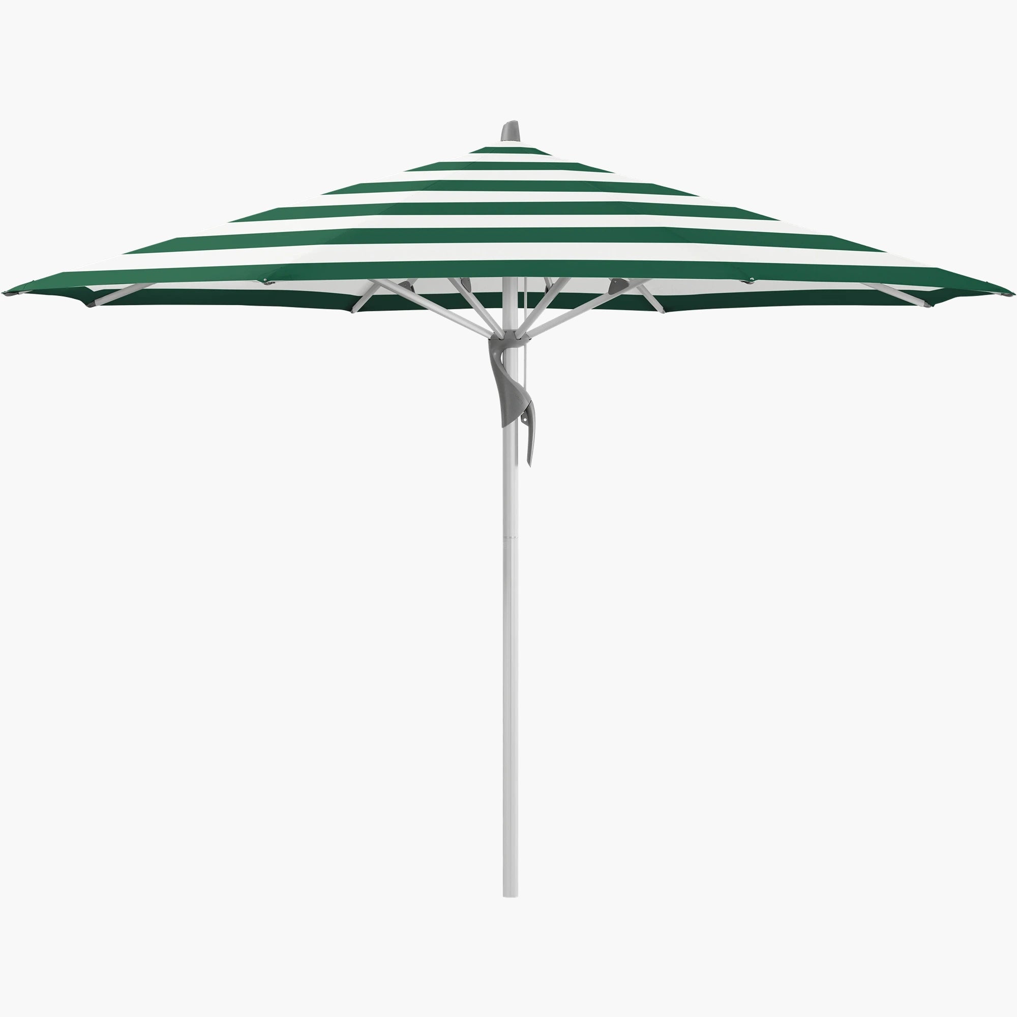 Green Stripe 589 - Glatz