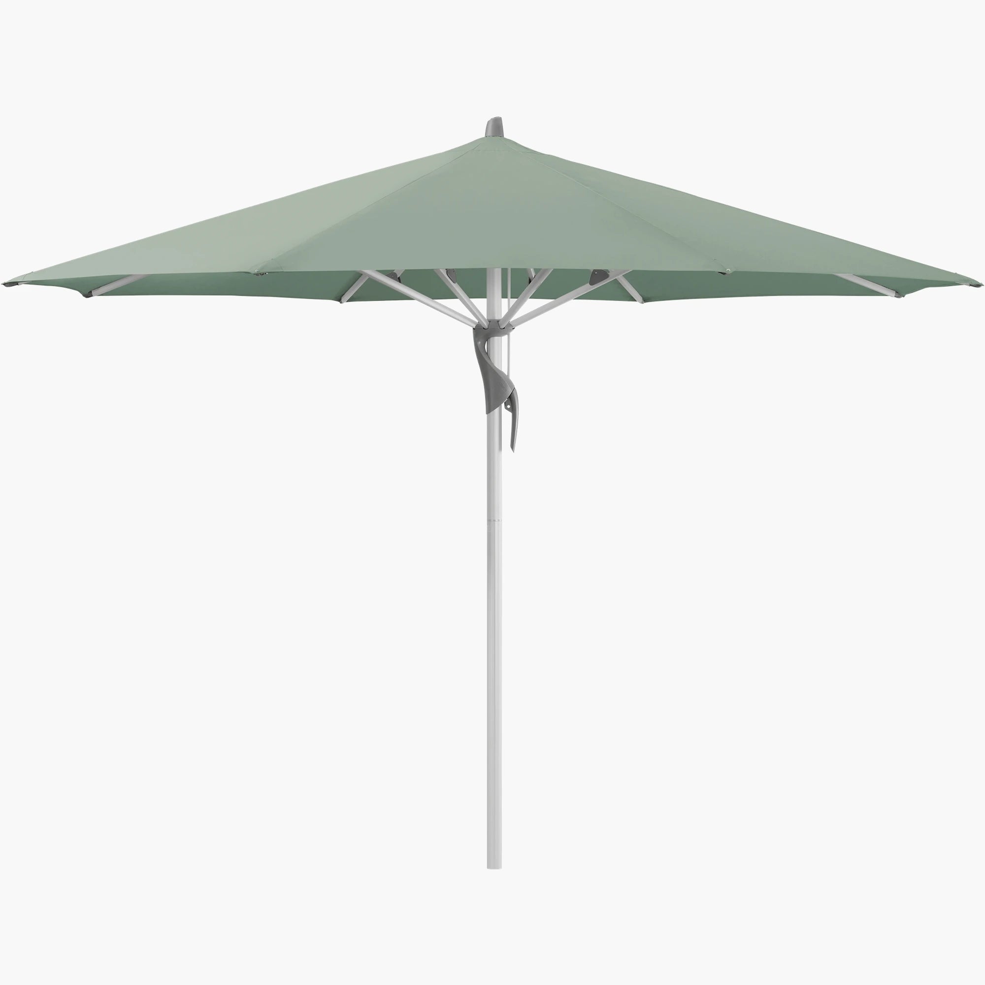 Olive 588 - Glatz
