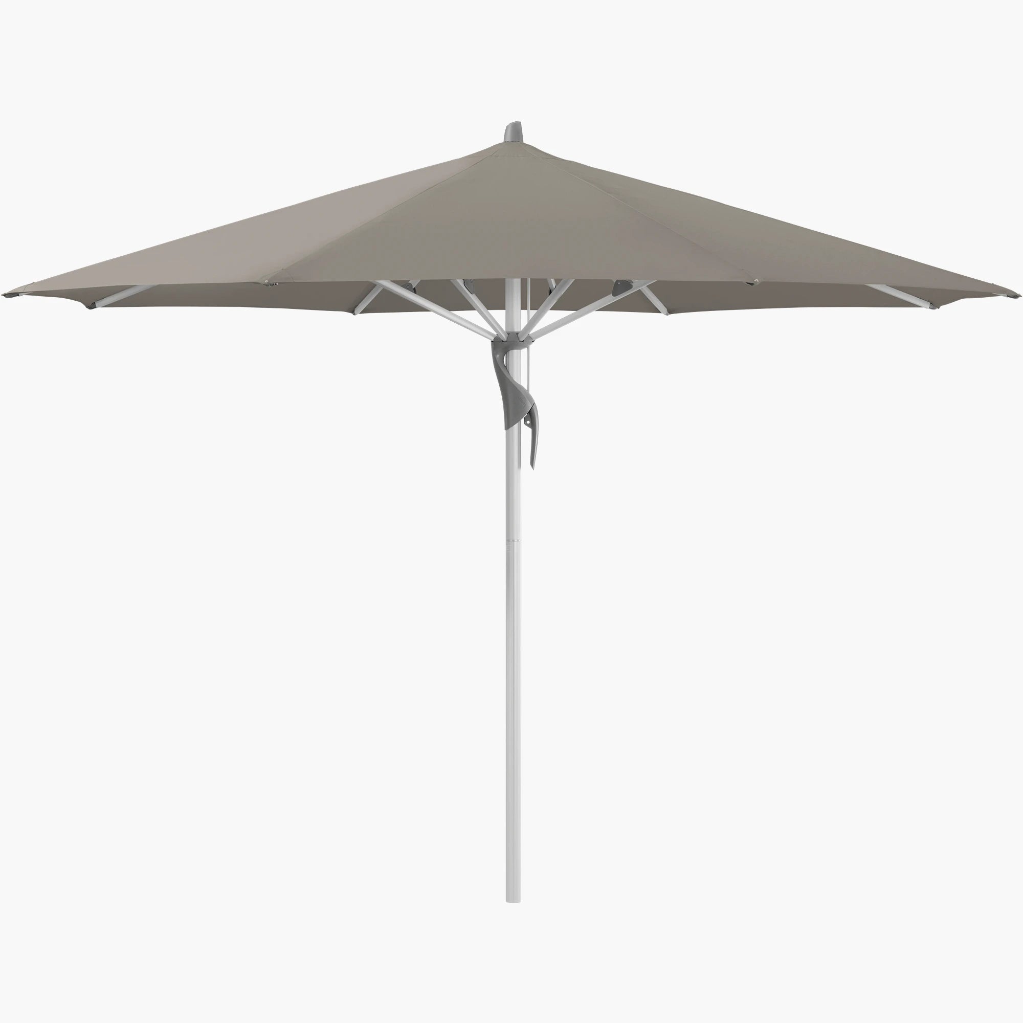 Taupe 461 - Glatz