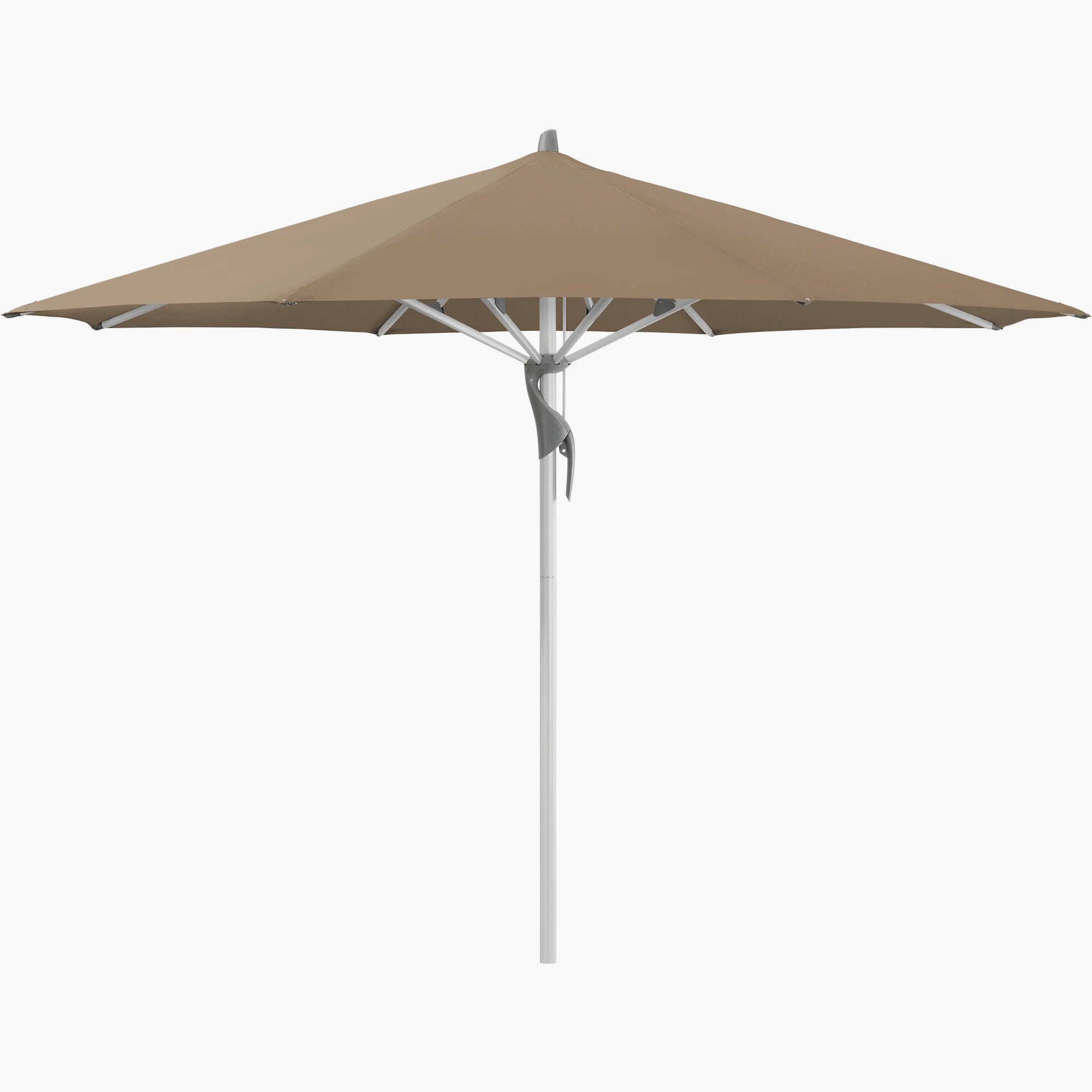 Walnut 805 - Glatz