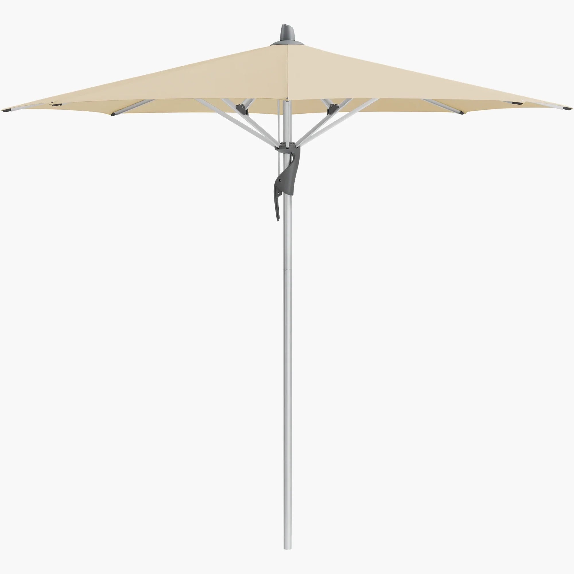 Bamboo 526 - Glatz